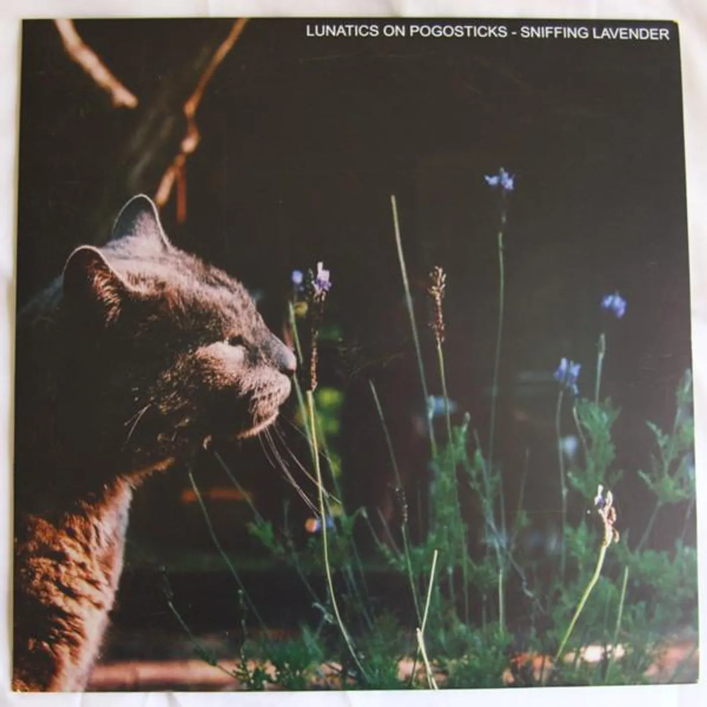 Lunatics On Pogosticks SNIFFING LAVENDER CD
