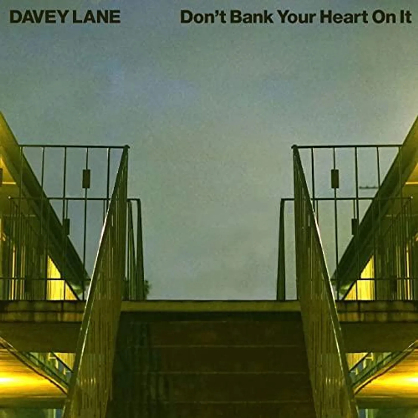 Davey Lane DON'T BANK YOUR HEART ON IT CD
