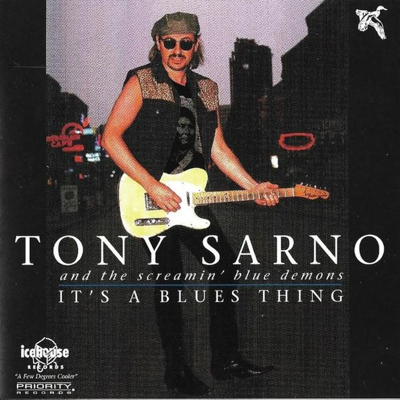 Tony Sarno IT'S A BLUES THING CD