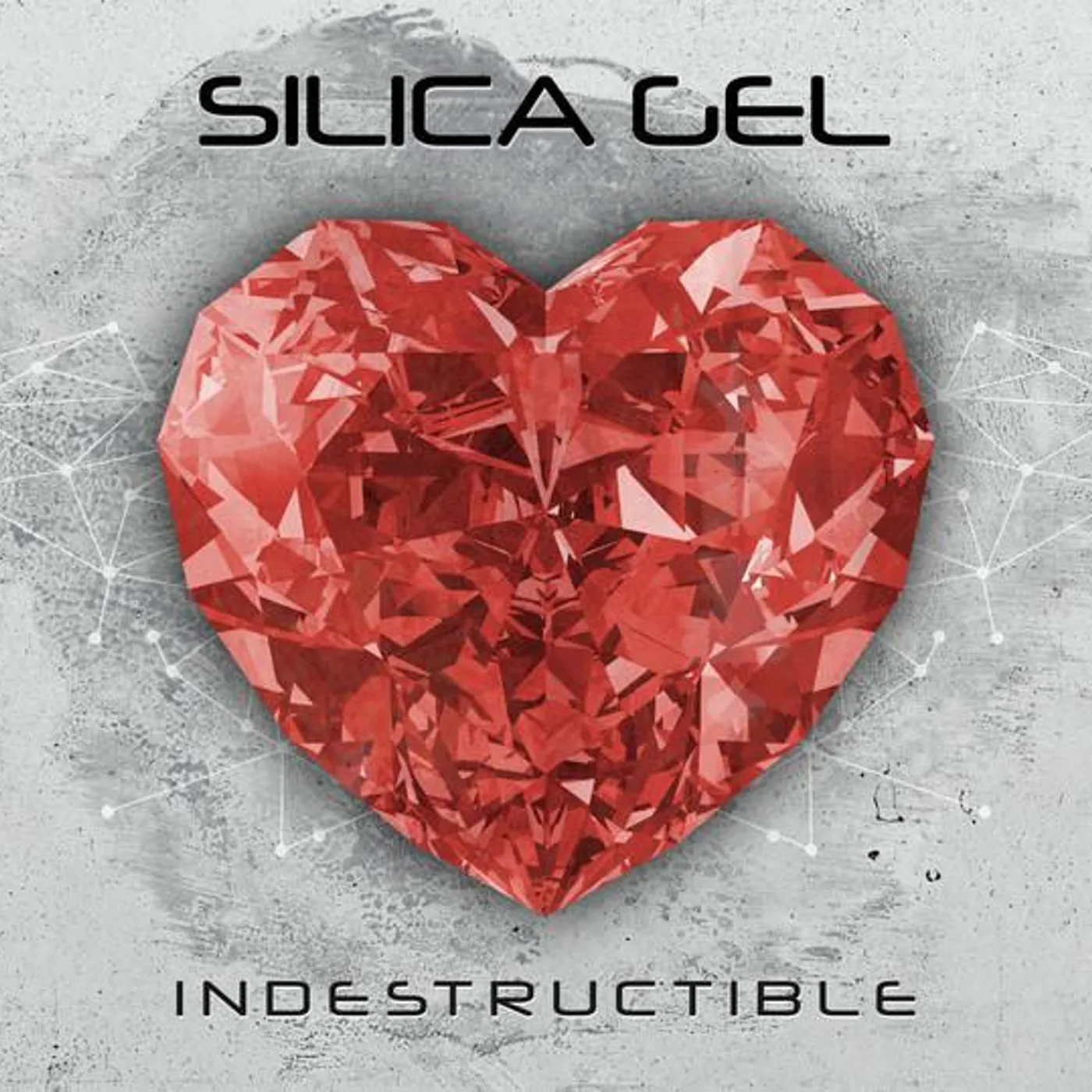 Silica Gel INDESTRUCTIBLE CD