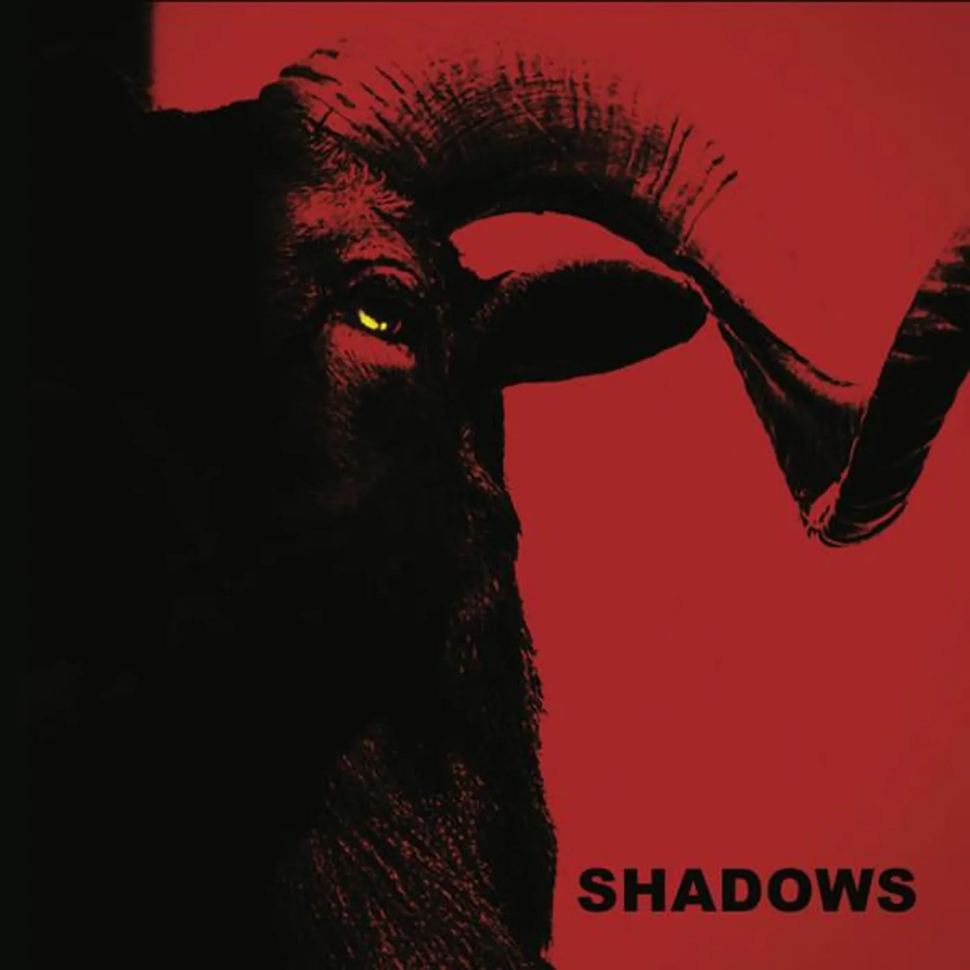 SHADOWS CD