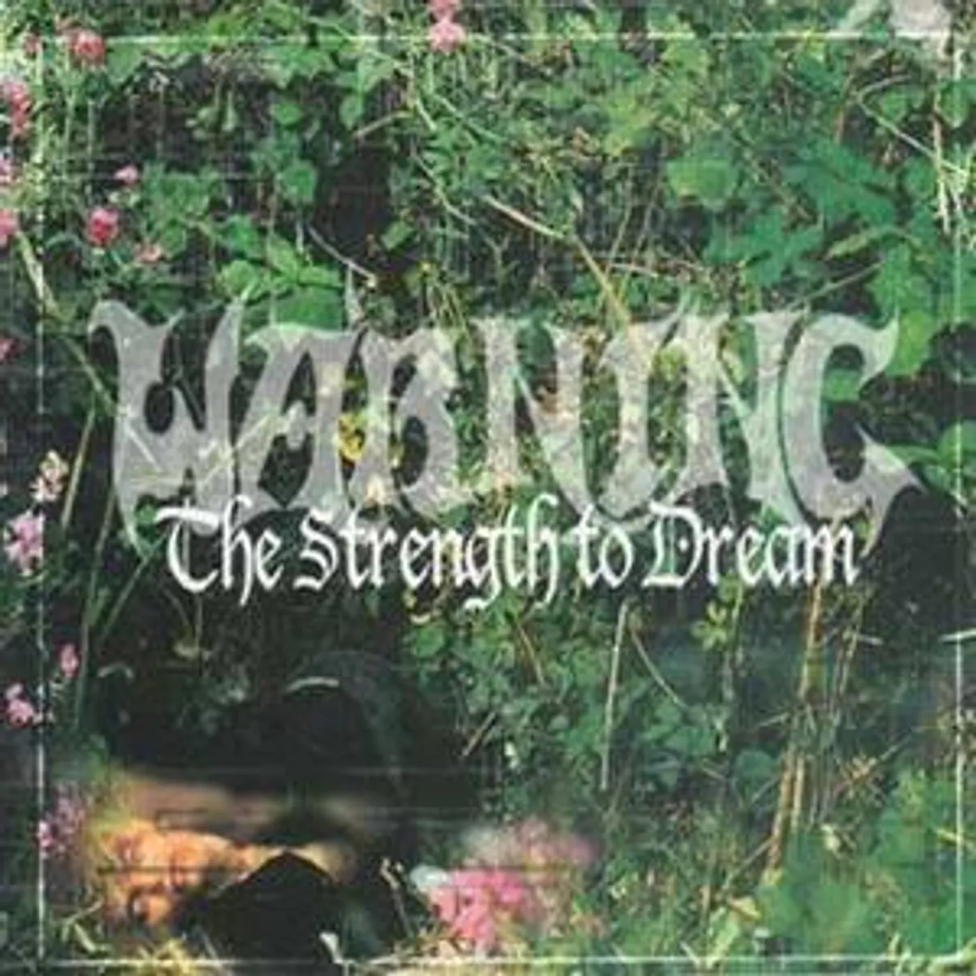 Warning Strength To Dream Vinyl Record