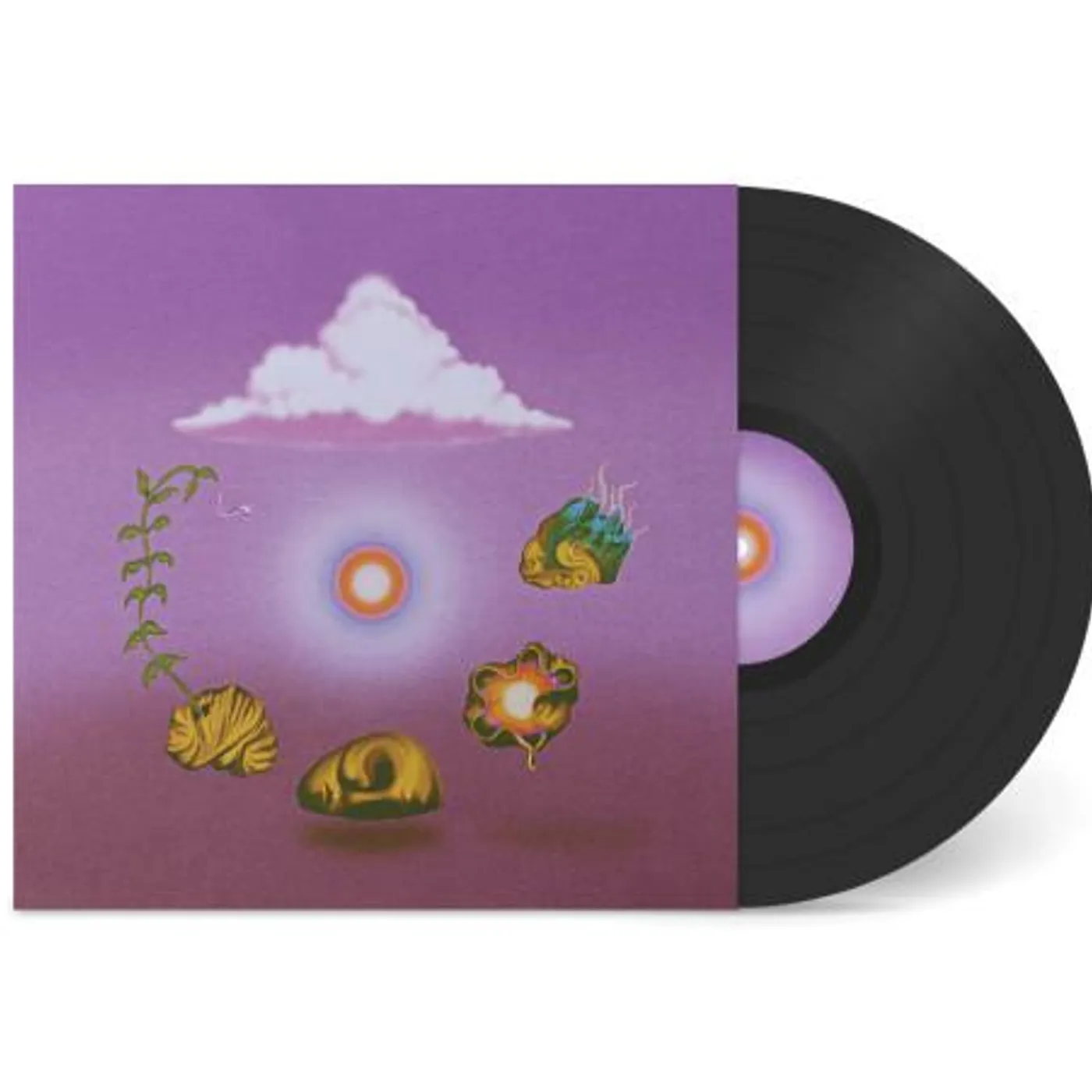 Evolfo Site out of Mind Vinyl Record