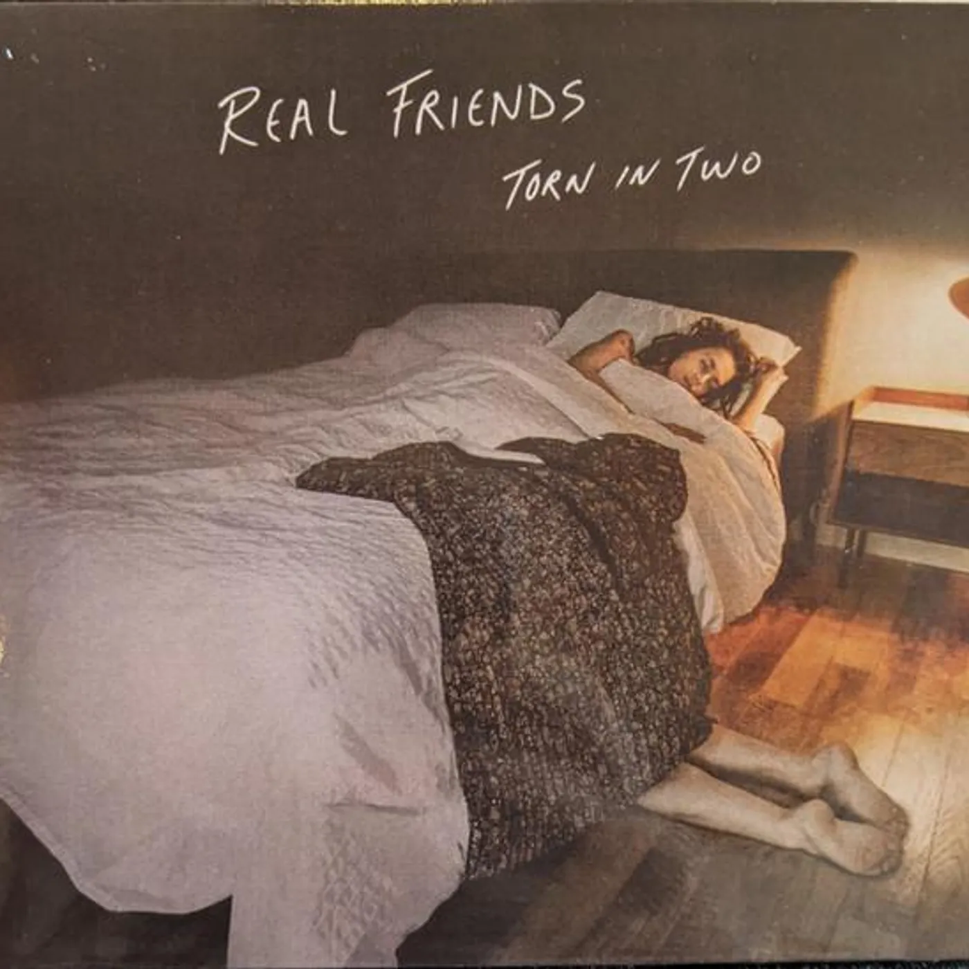 Real Friends Torn in Two Vinyl Record