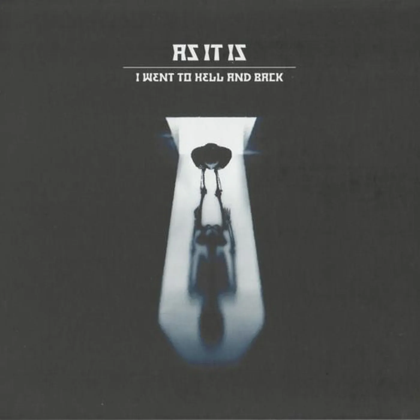 AS IT IS I WENT TO HELL AND BACK Vinyl Record