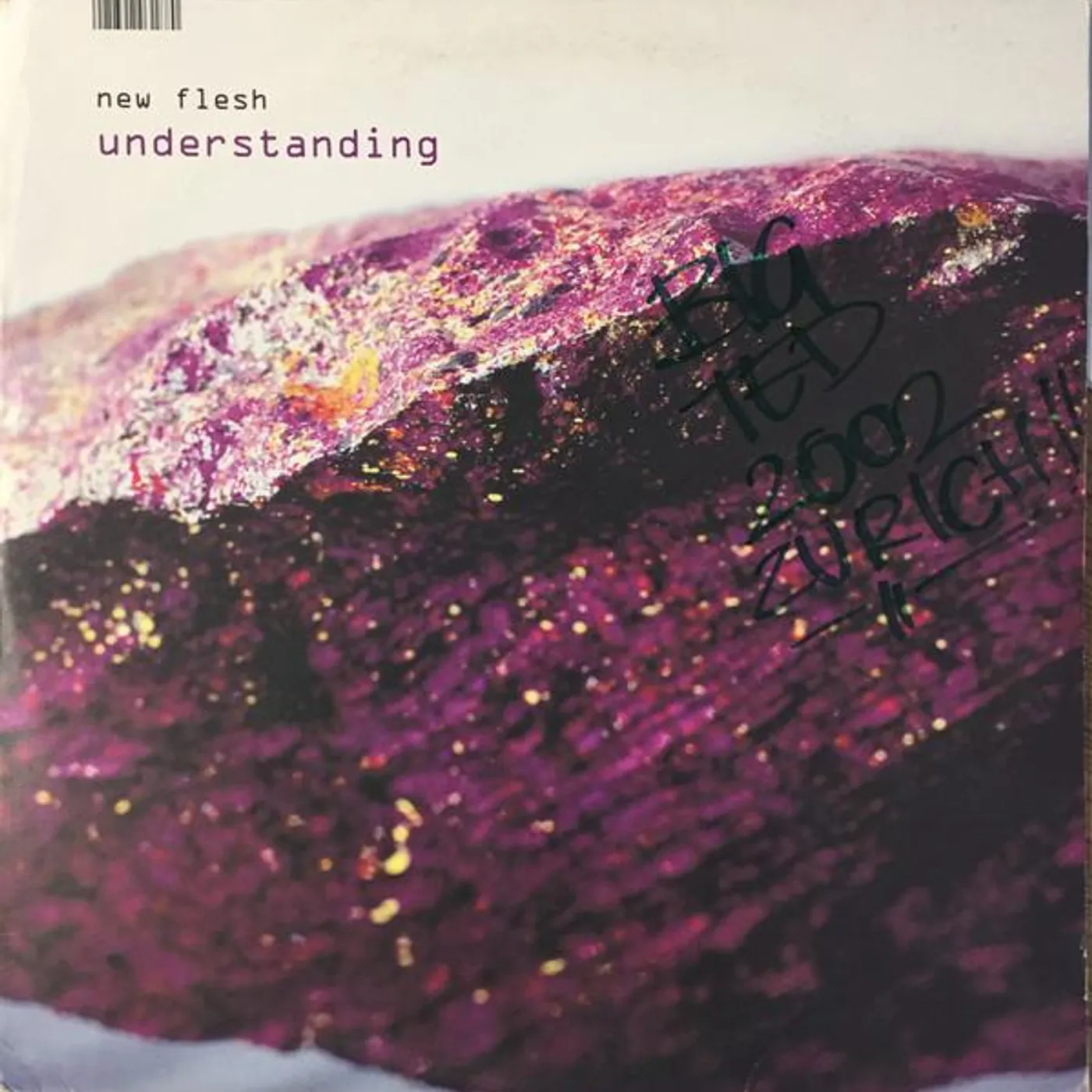New Flesh UNDERSTANDING Vinyl Record