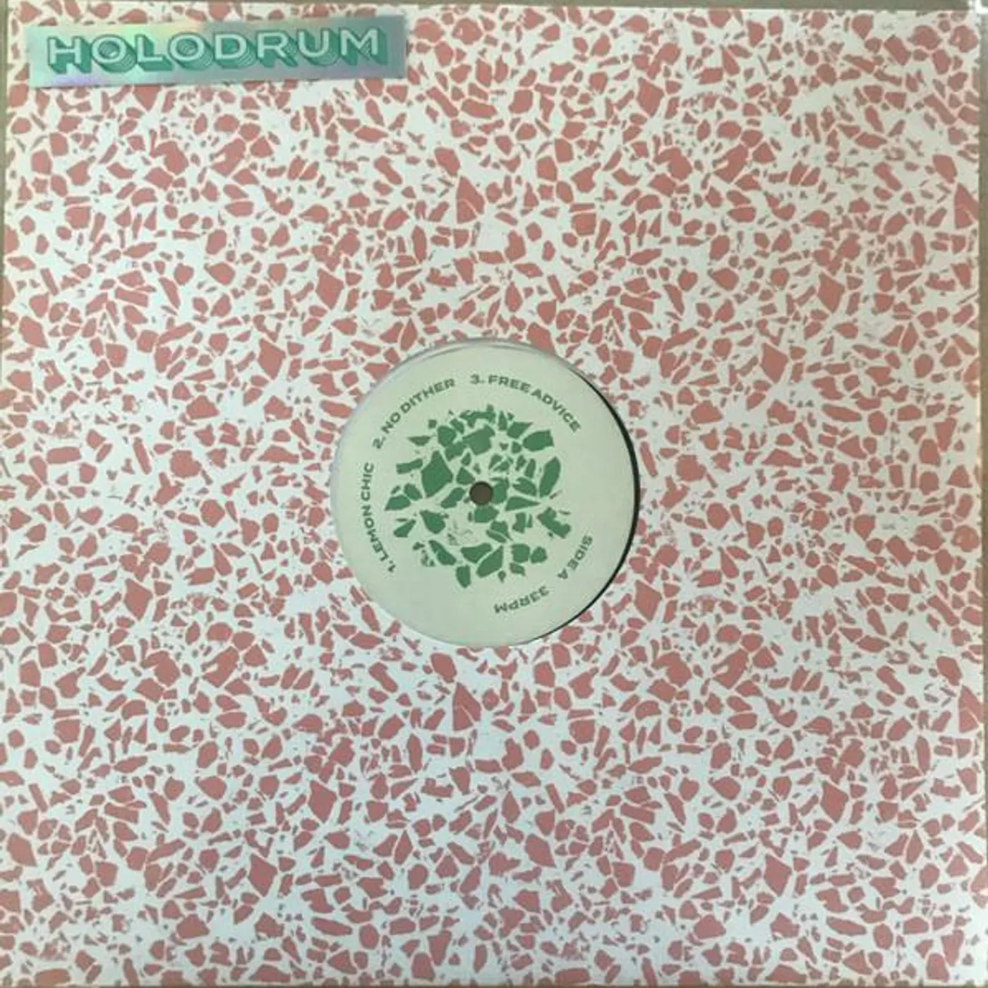 Holodrum Vinyl Record