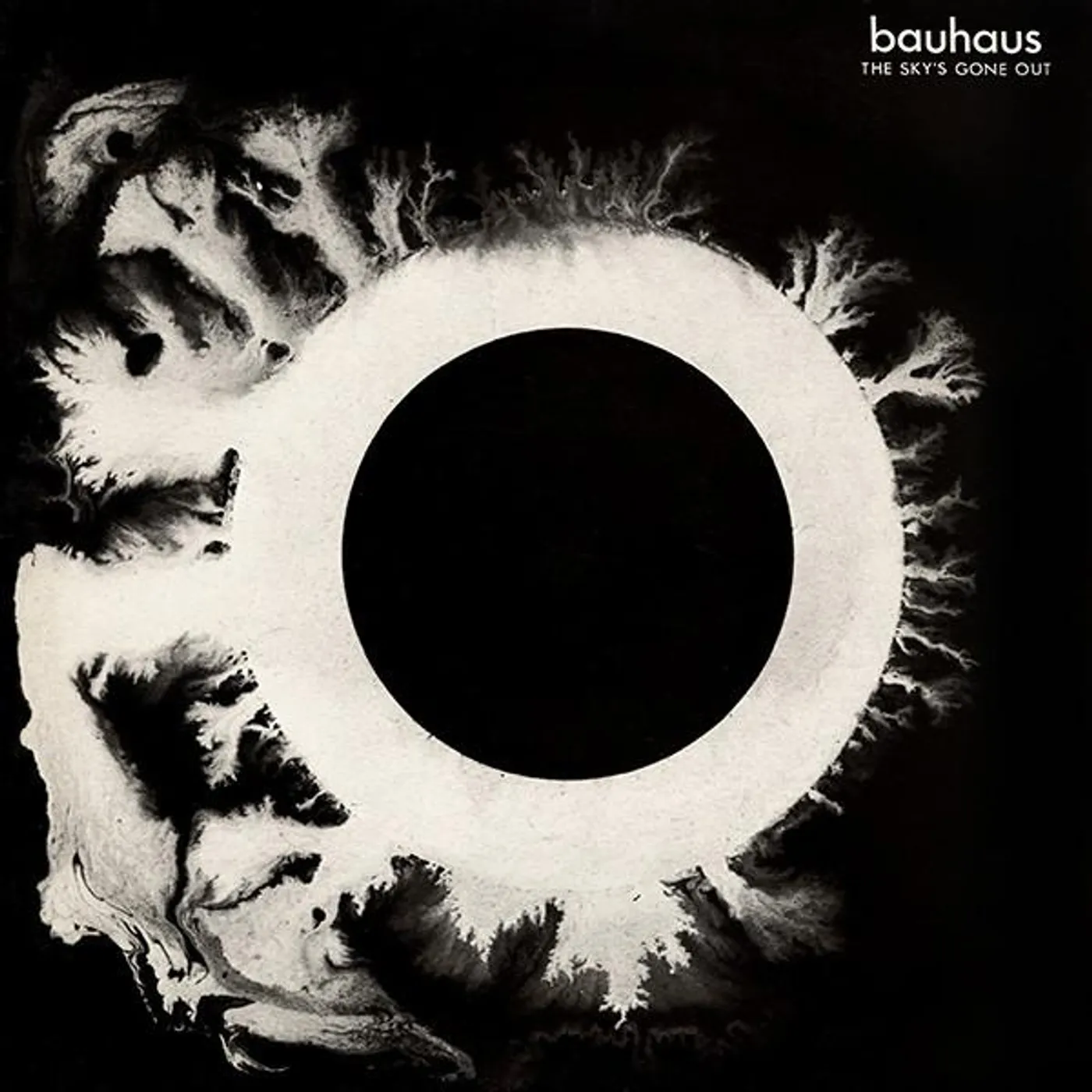 Bauhaus SKY'S GONE OUT Vinyl Record