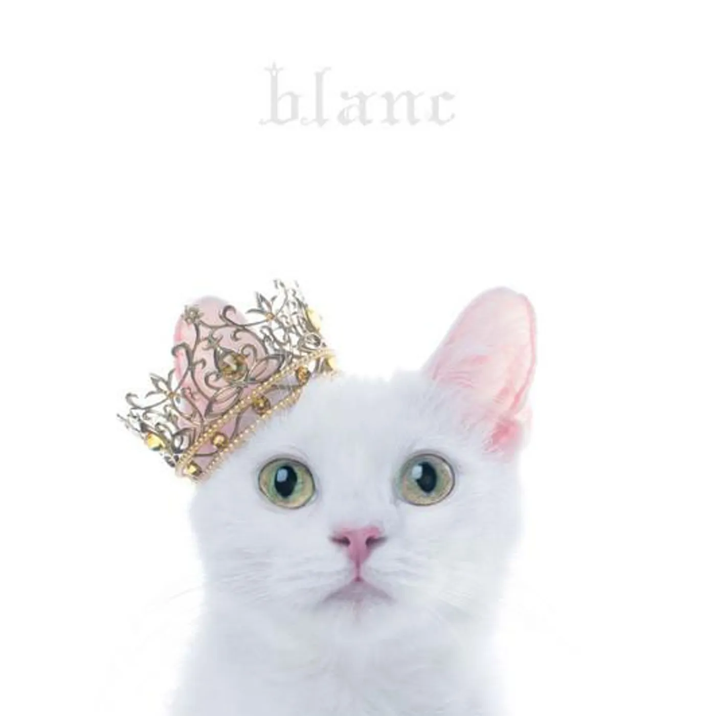 Aimer BEST SELECTION `BLANC` (LIMITED) CD