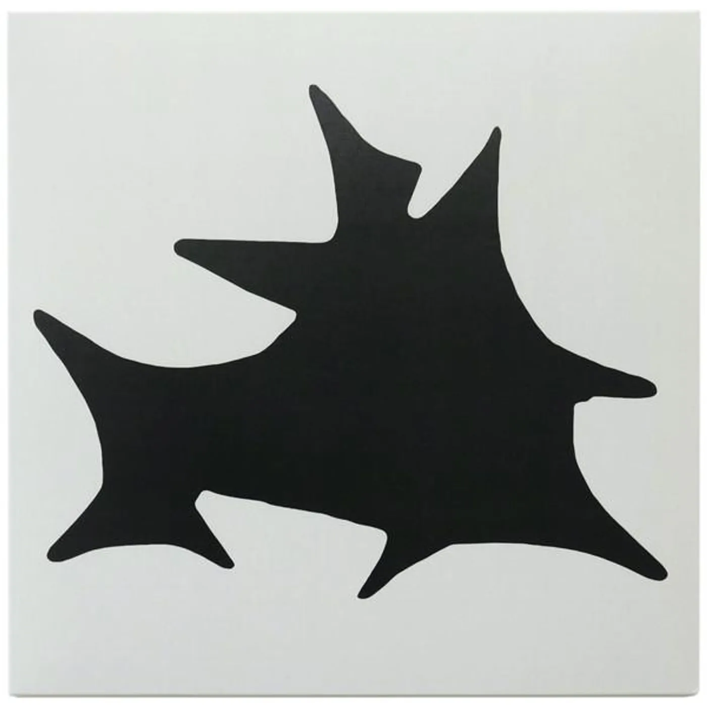 La Plata ACCION DIRECTA Vinyl Record