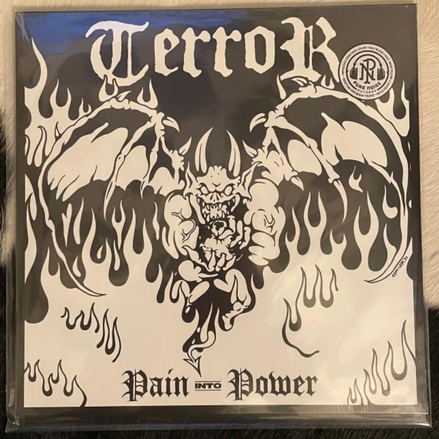 Terror PAIN INTO POWER CD