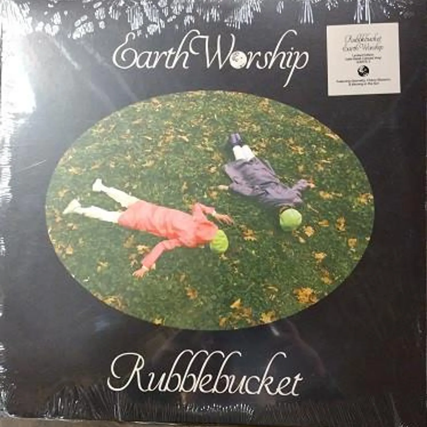 Rubblebucket Earth Worship Vinyl Record