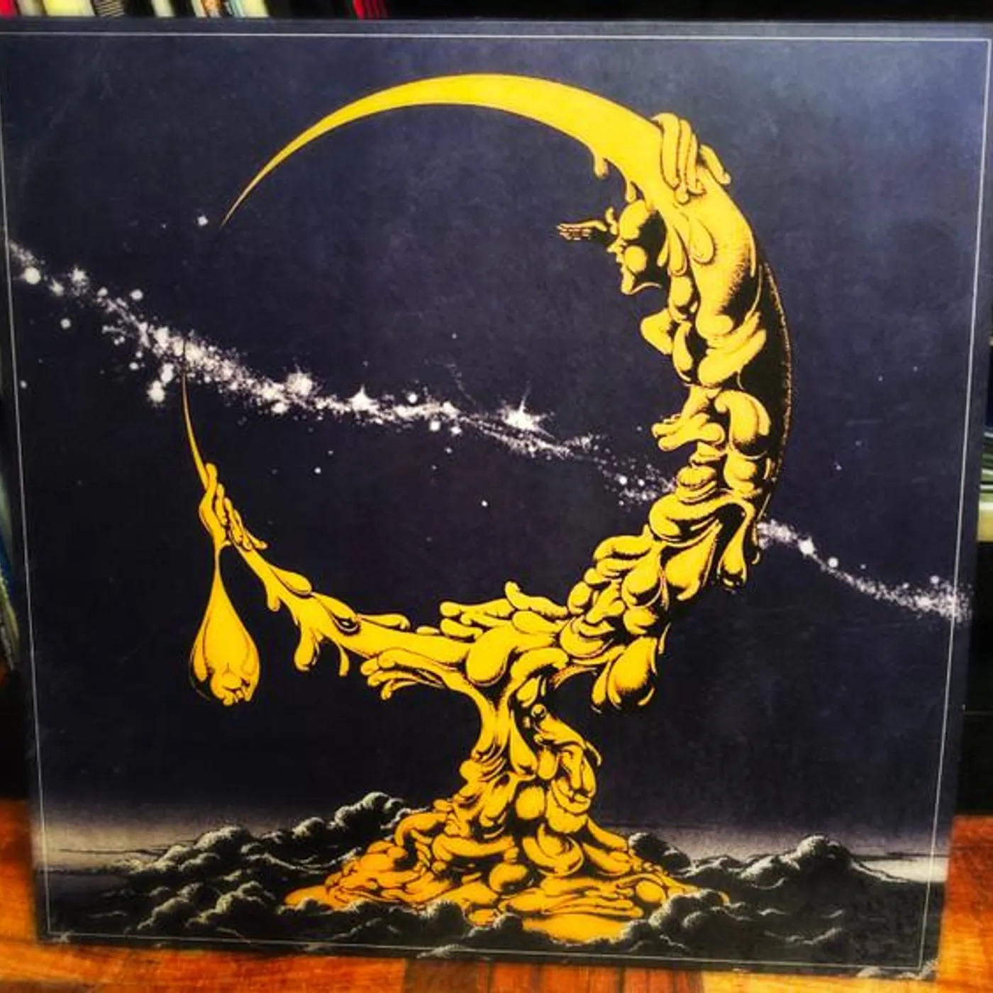 Pigs Pigs Pigs Pigs Pigs Pigs Pigs Land of Sleeper Vinyl Record