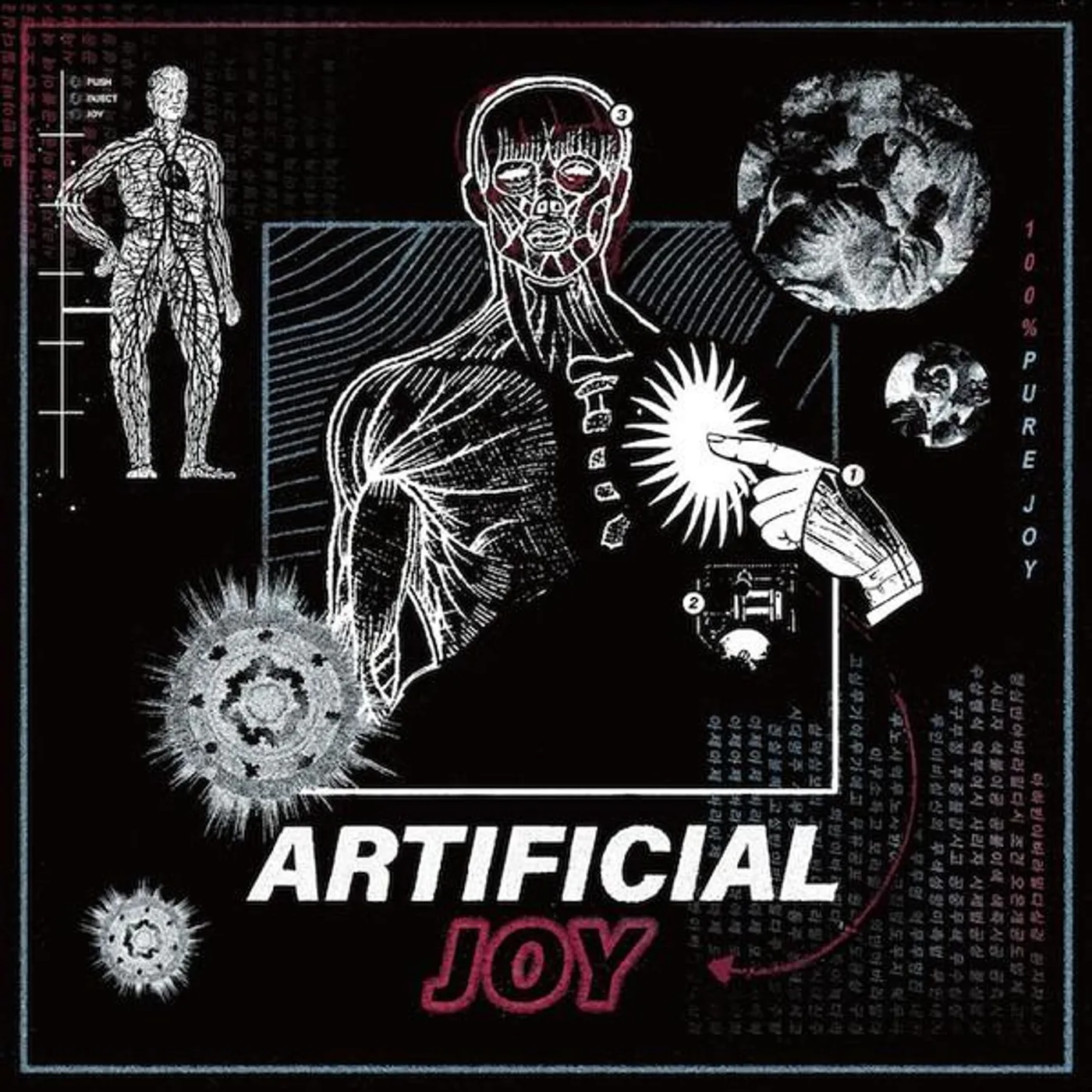 Artificial Joy 100% PURE JOY CD