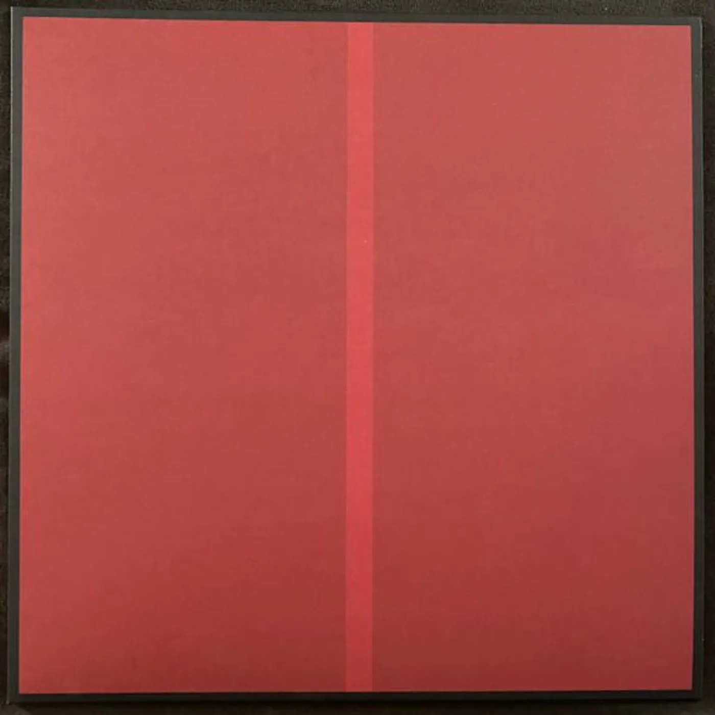 Genesis Owusu STRUGGLER Vinyl Record