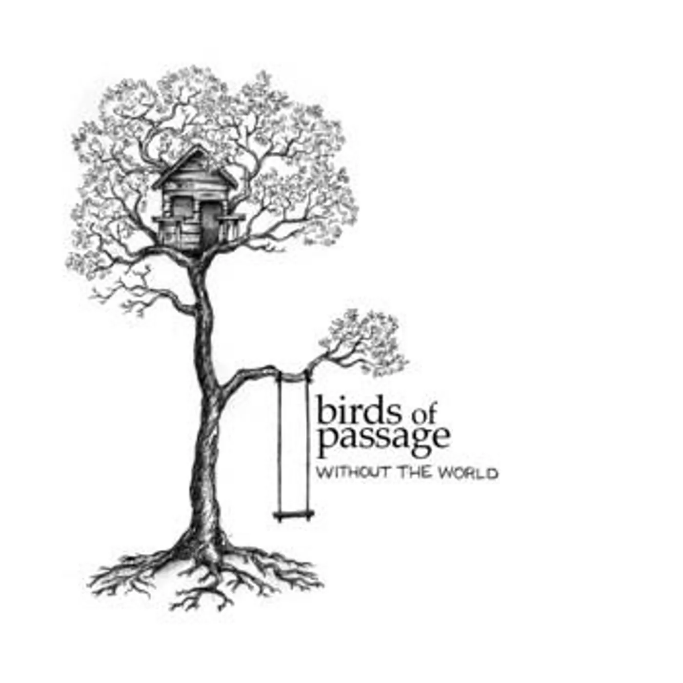 Birds Of Passage Without The World Vinyl Record