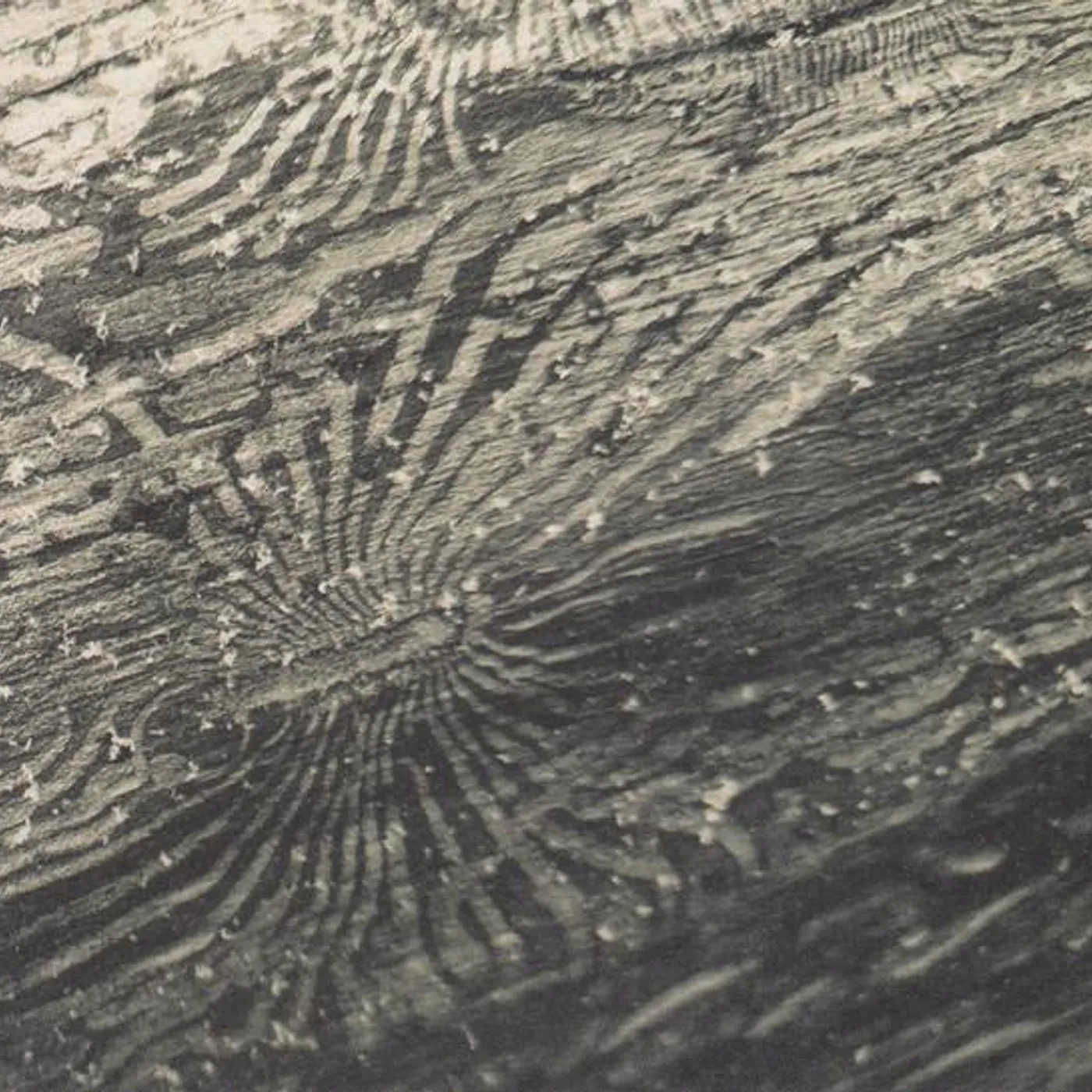 Raphael Roginski TALAN CD