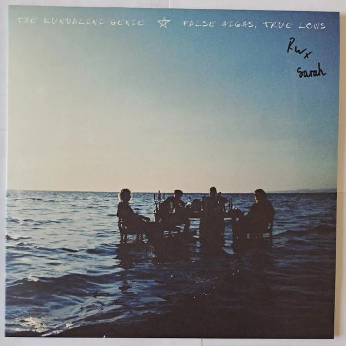 The Kundalini Genie FALSE HIGHS TRUE LOWS Vinyl Record