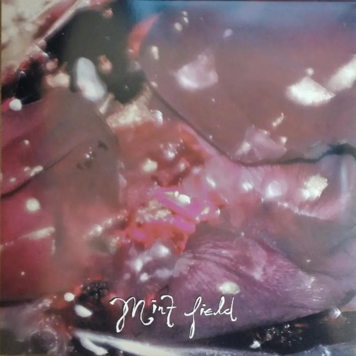 Mint Field Aprender A Ser (Fruit Punch) Vinyl Record