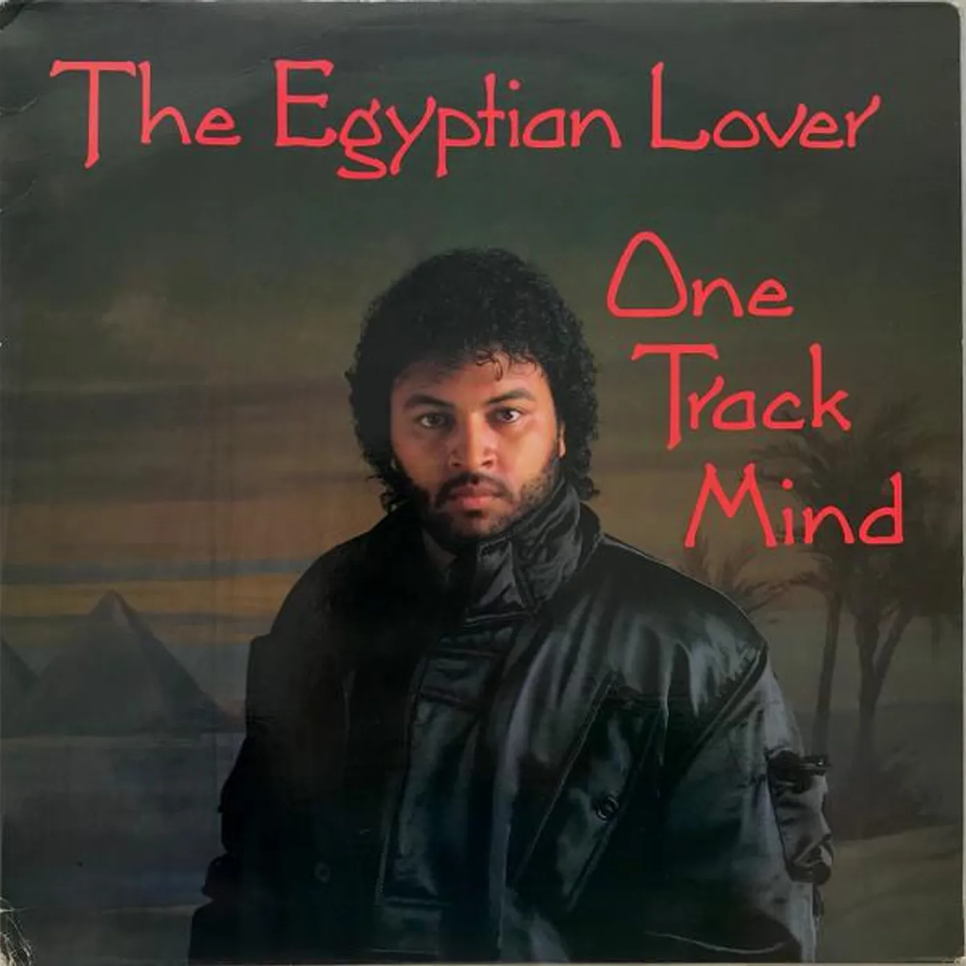Egyptian Lover ONE TRACK MIND (FREAK-A-HOLIC) Vinyl Record