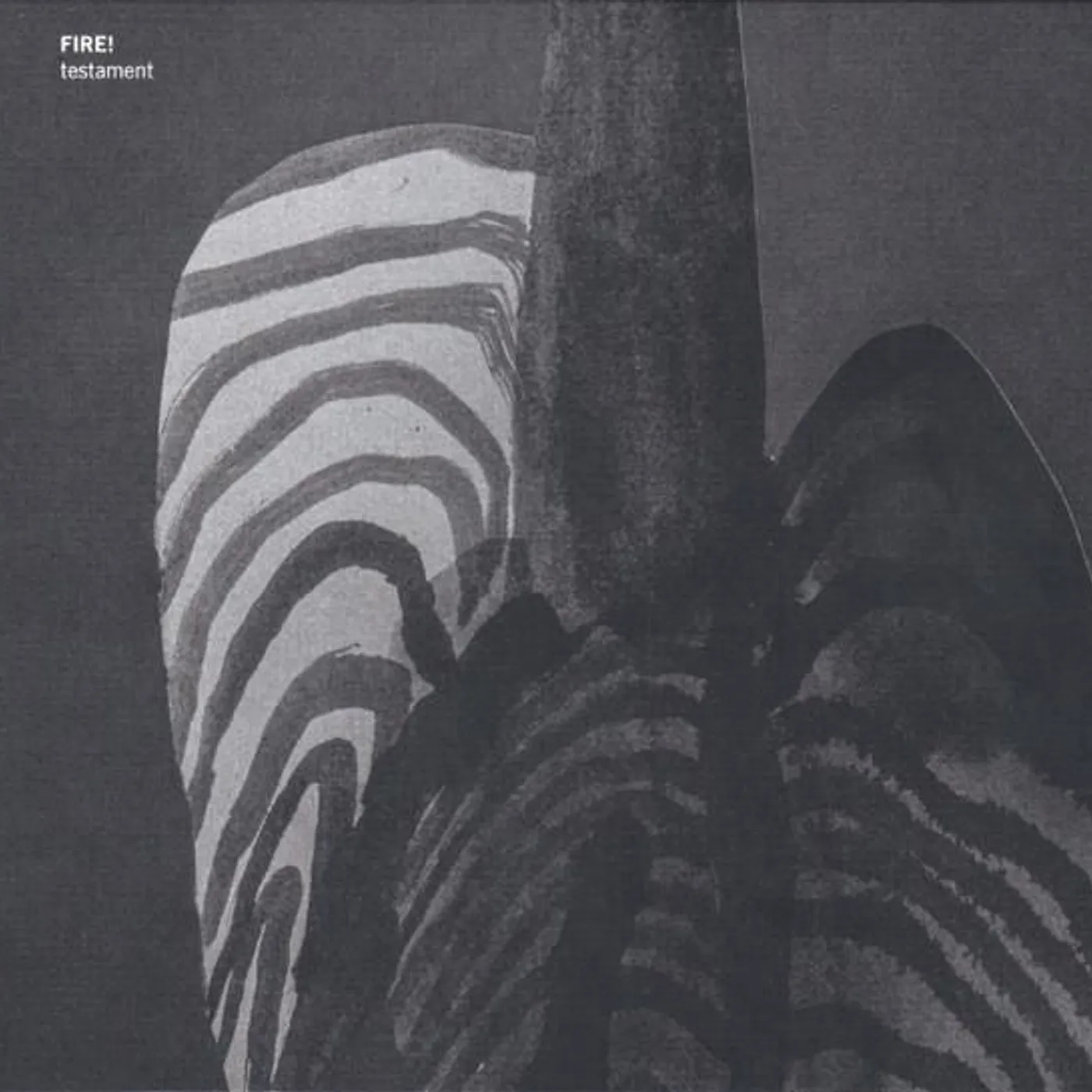 Fire! TESTAMENT Vinyl Record