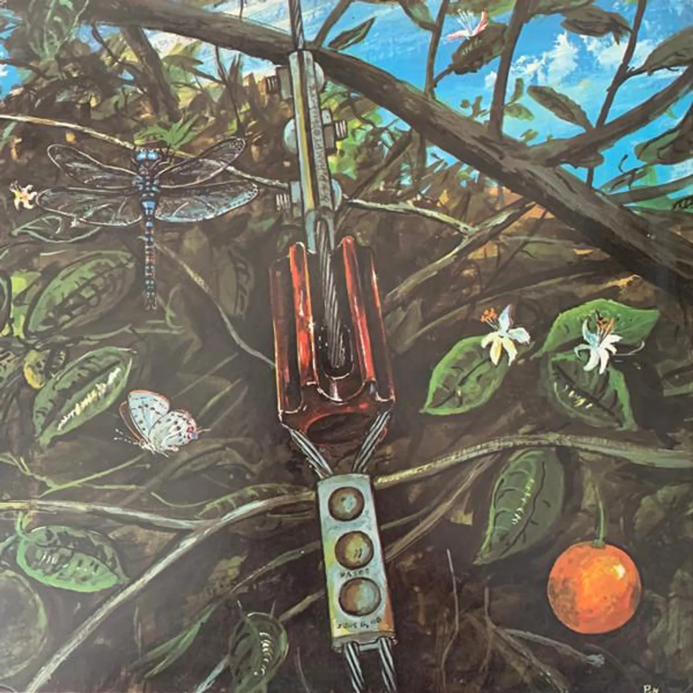 Dragonfly Vinyl Record