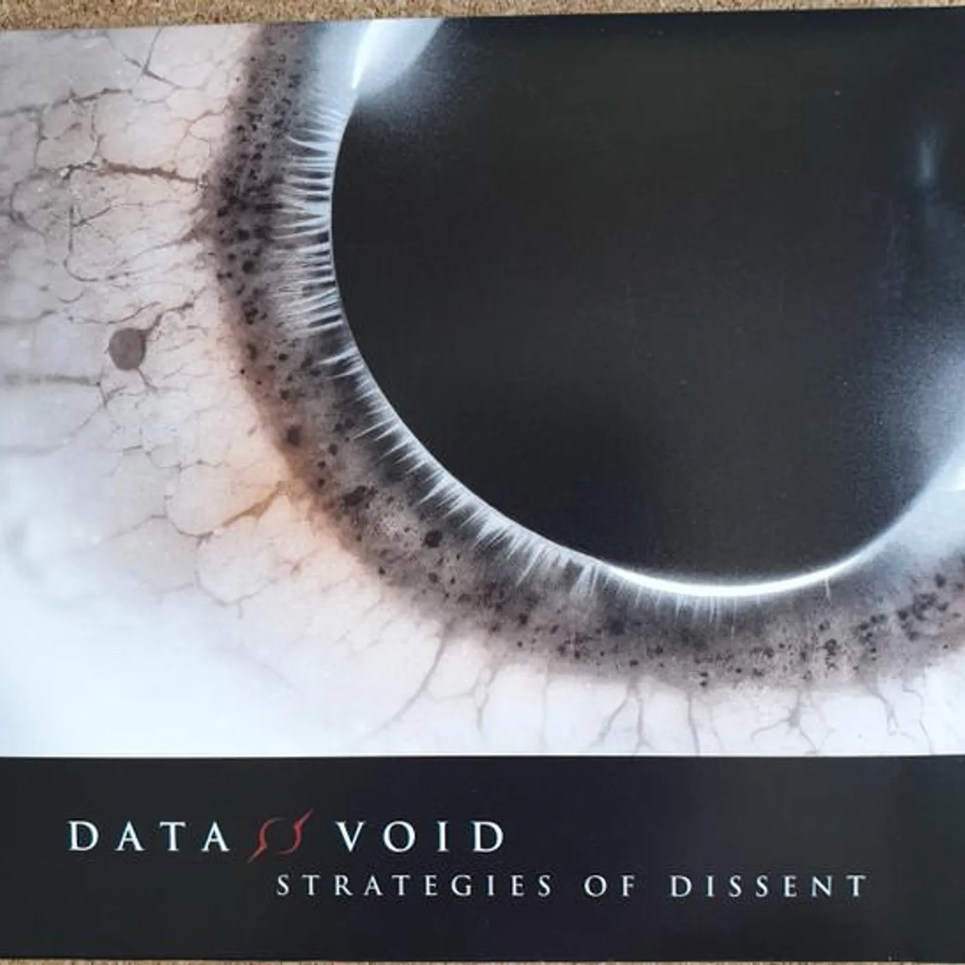 Data Void STRATEGIES OF DISSENT Vinyl Record