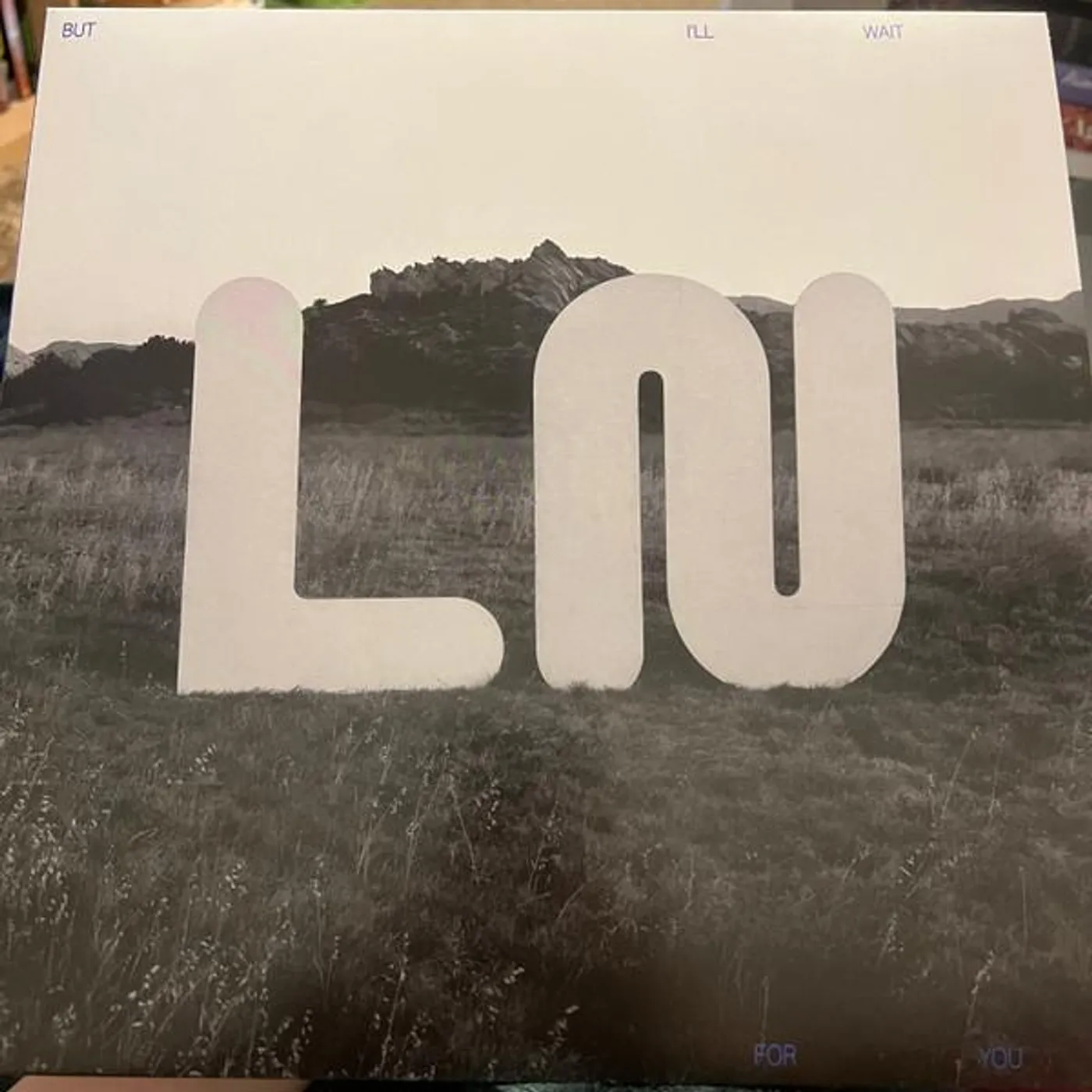 Local Natives BUT I'LL WAIT FOR YOU CD