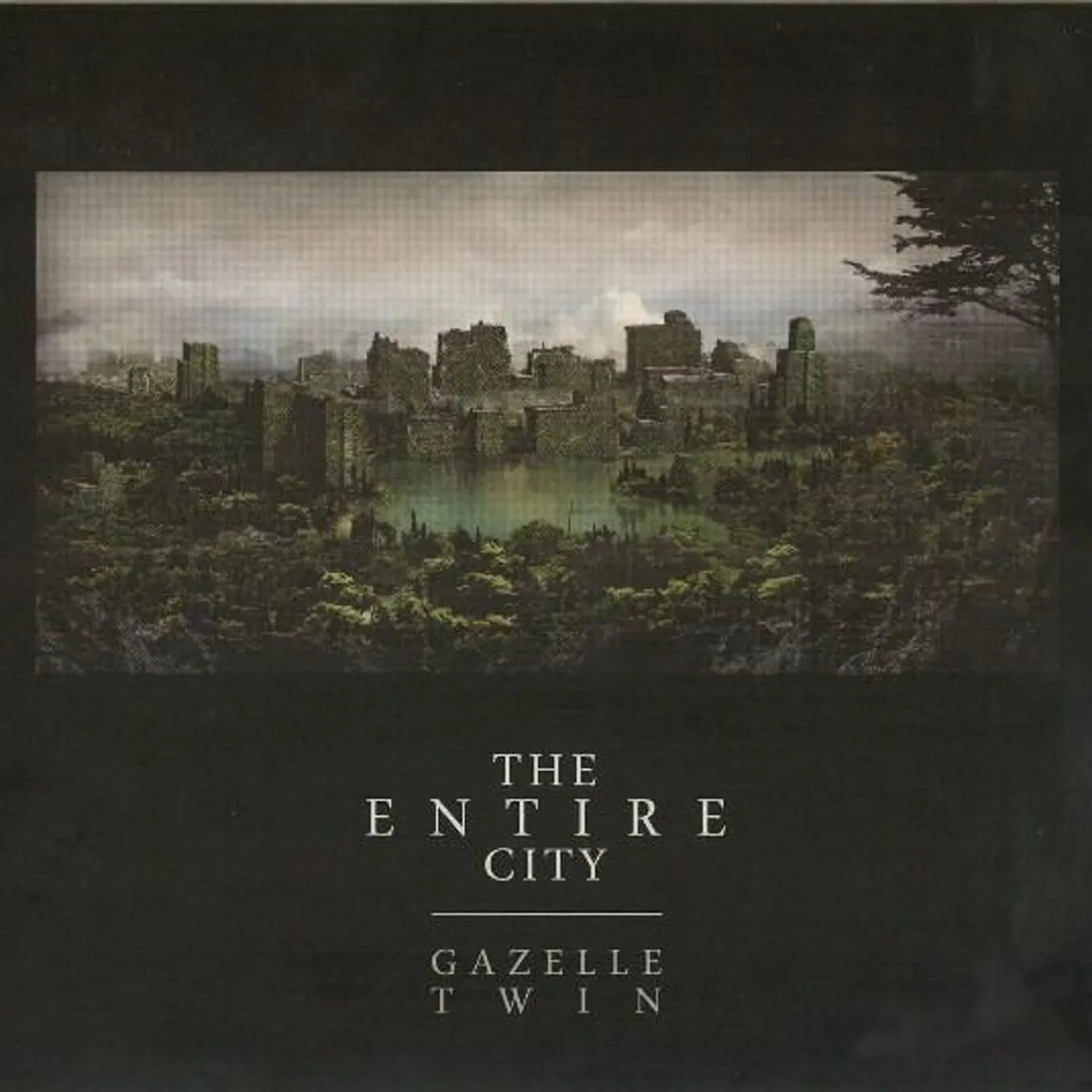 Gazelle Twin ENTIRE CITY (SPECIAL EDITION) Vinyl Record