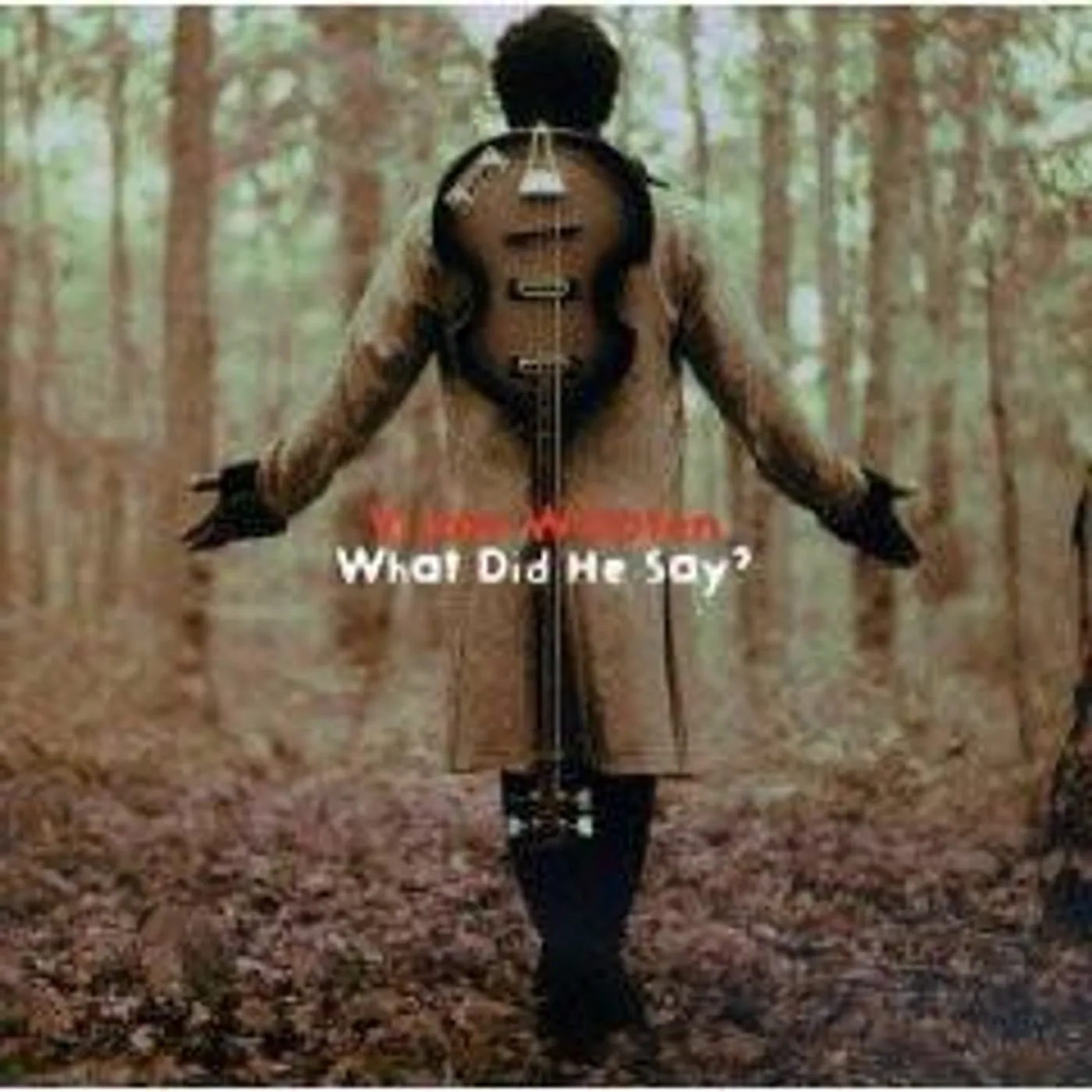 Victor Wooten WHAT DID HE SAY CD