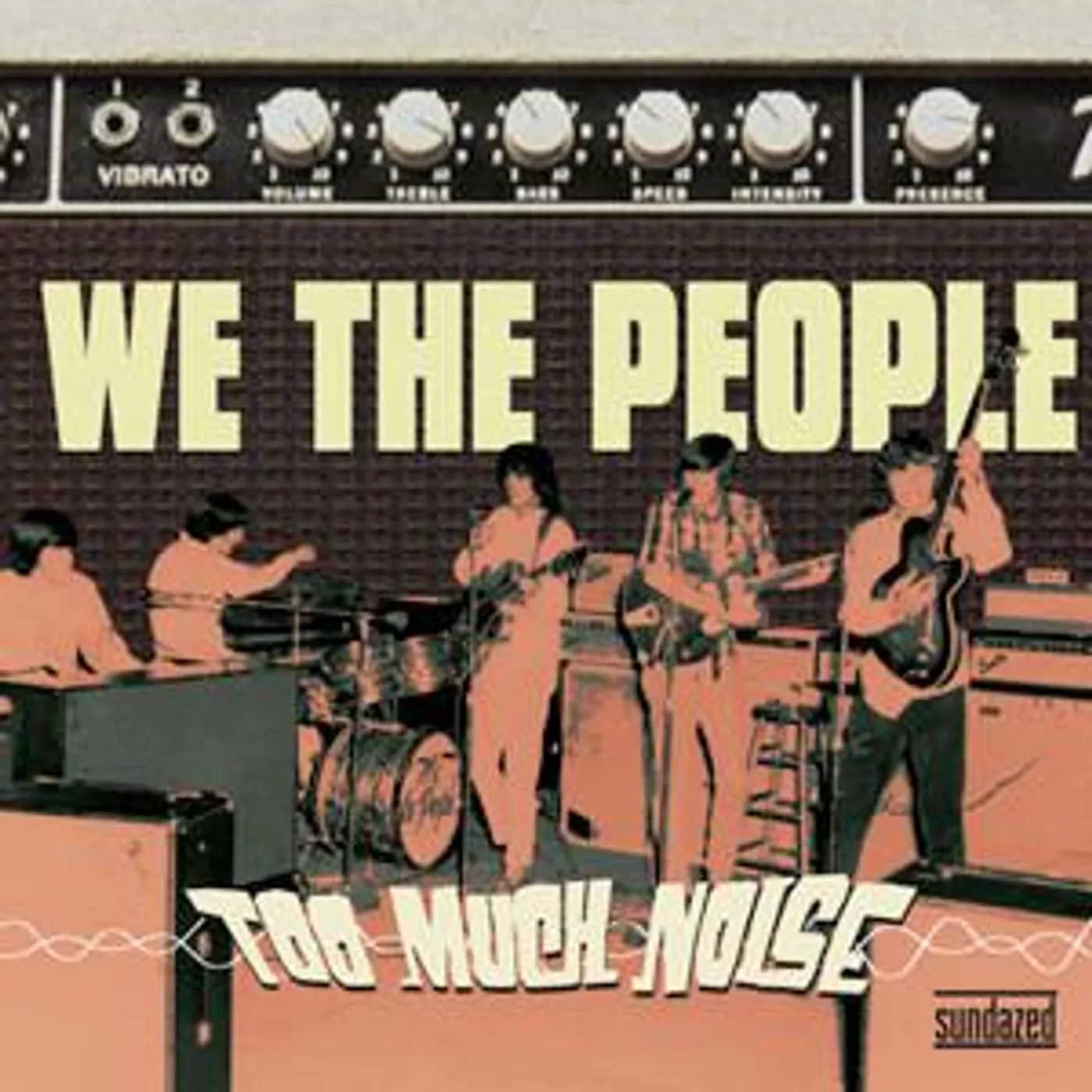 We The People Too Much Noise Vinyl Record