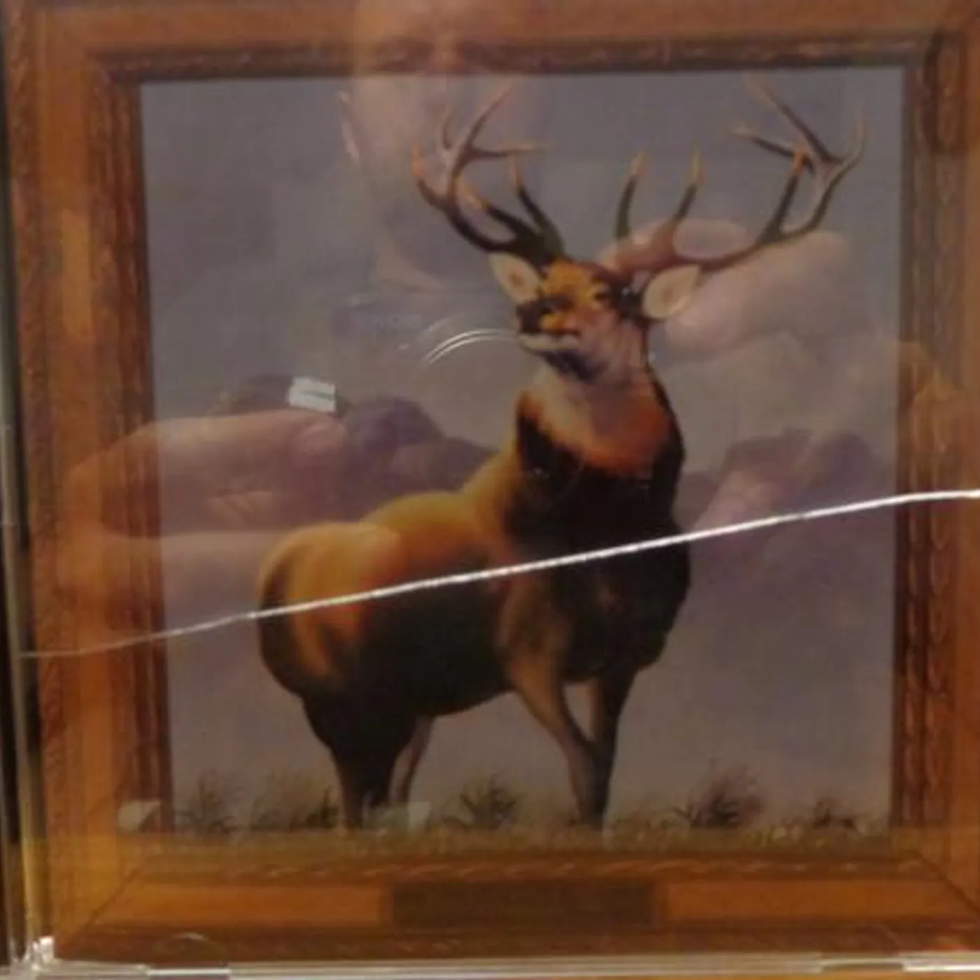 Killdozer TWELVE POINT BUCK CD