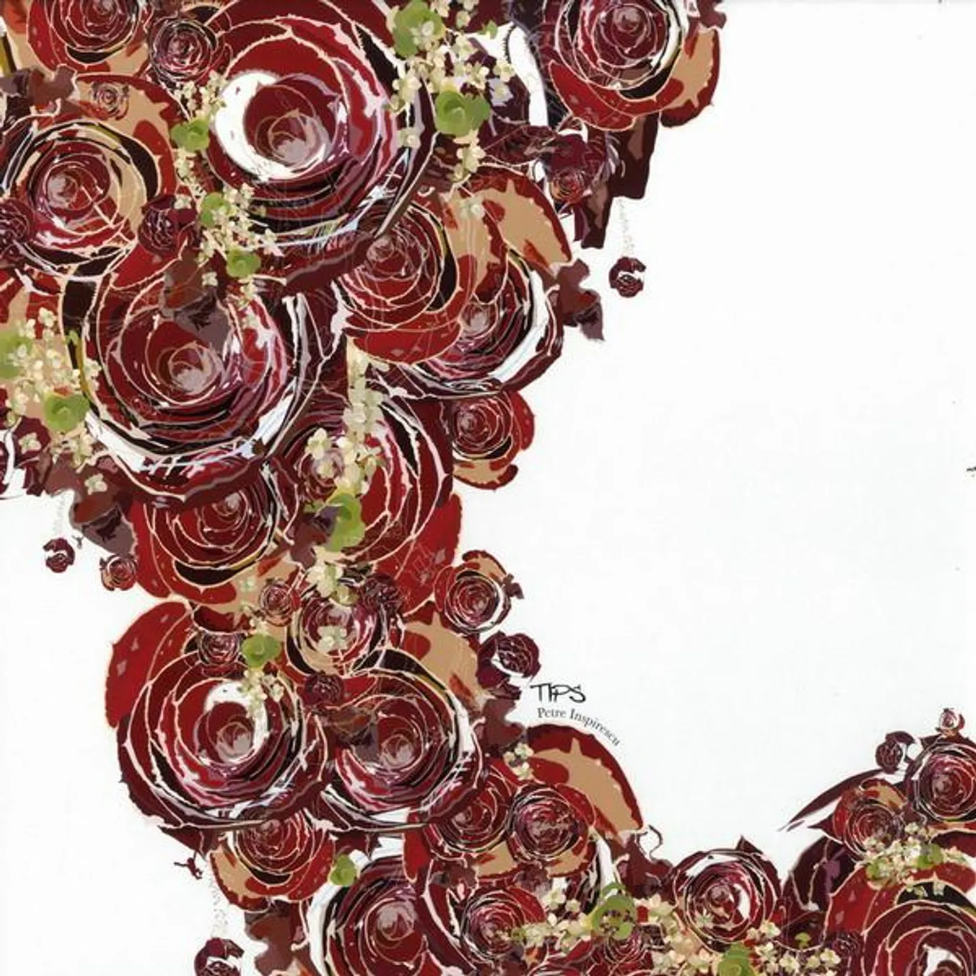 Petre Inspirescu Tips Vinyl Record