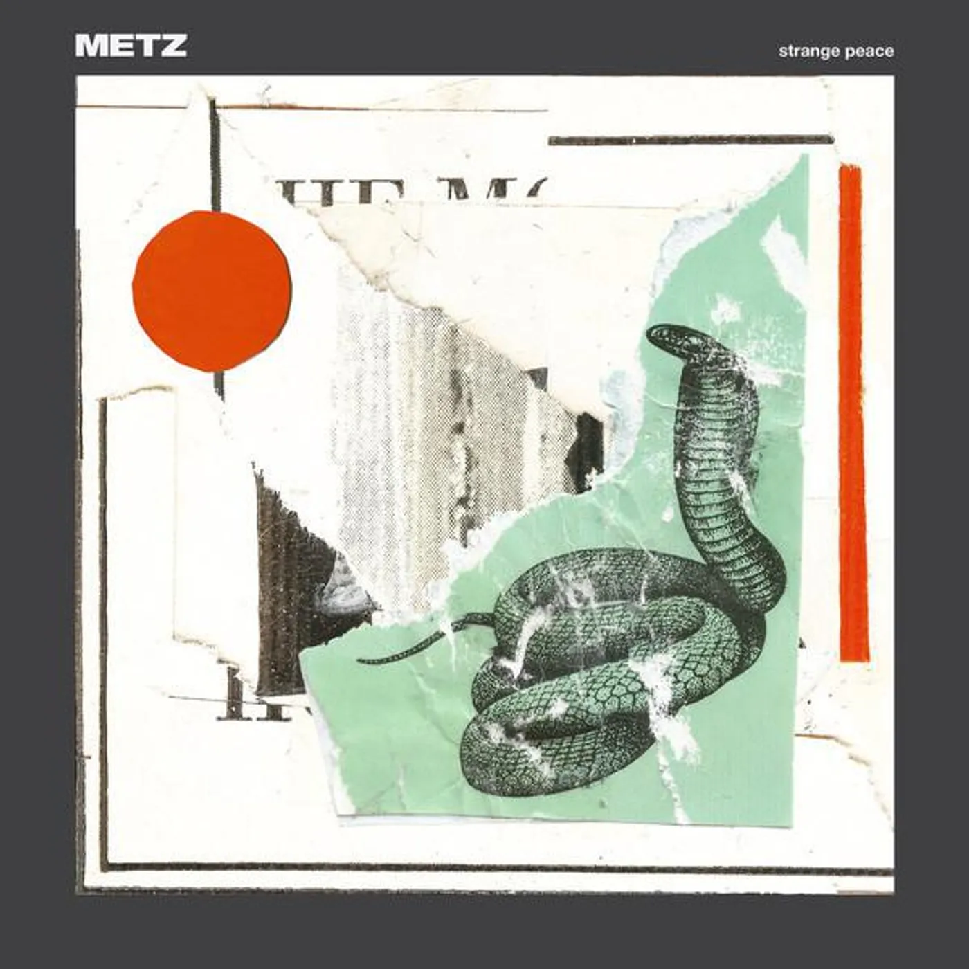 Metz Strange Peace Vinyl Record