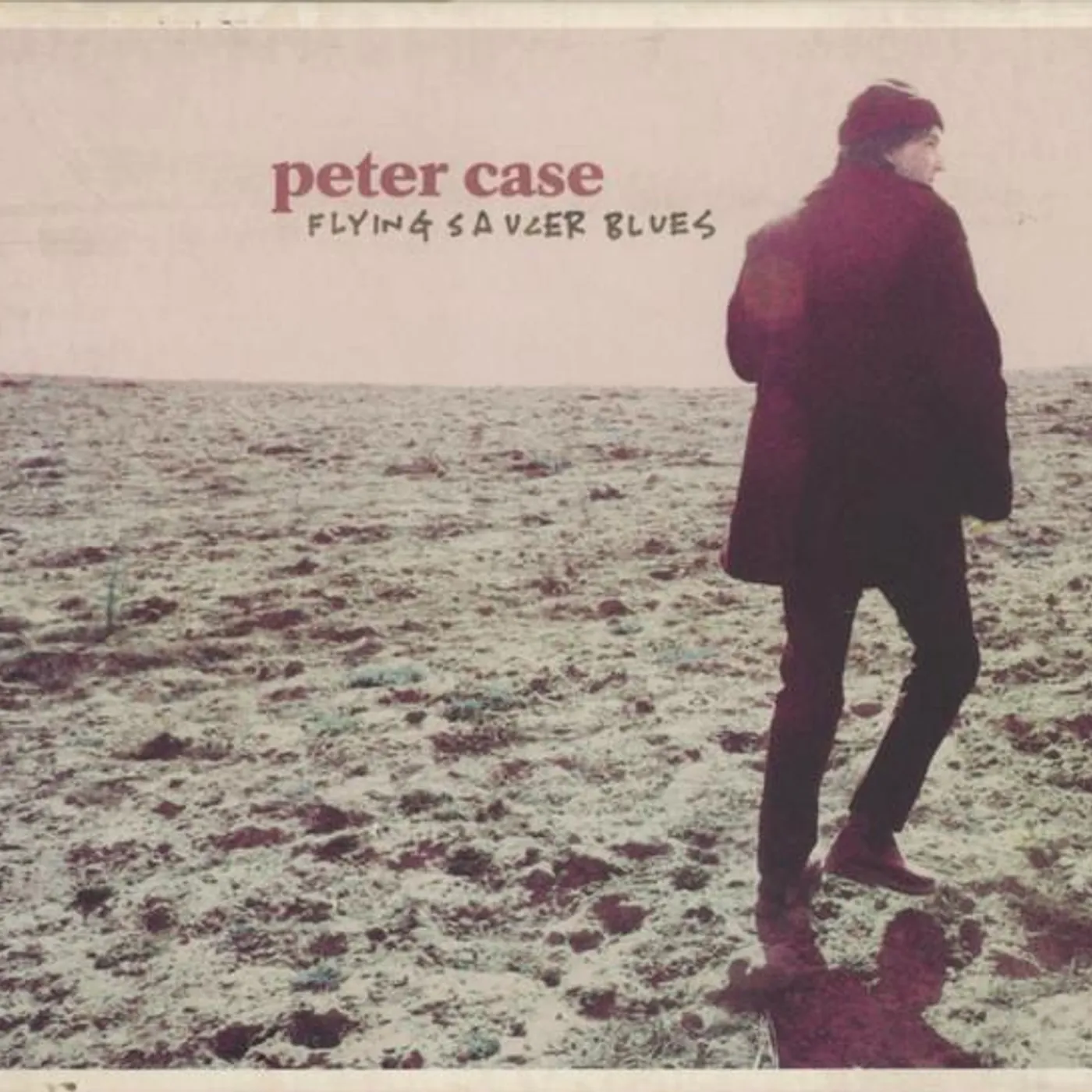 Peter Case FLYING SAUCER BLUES CD