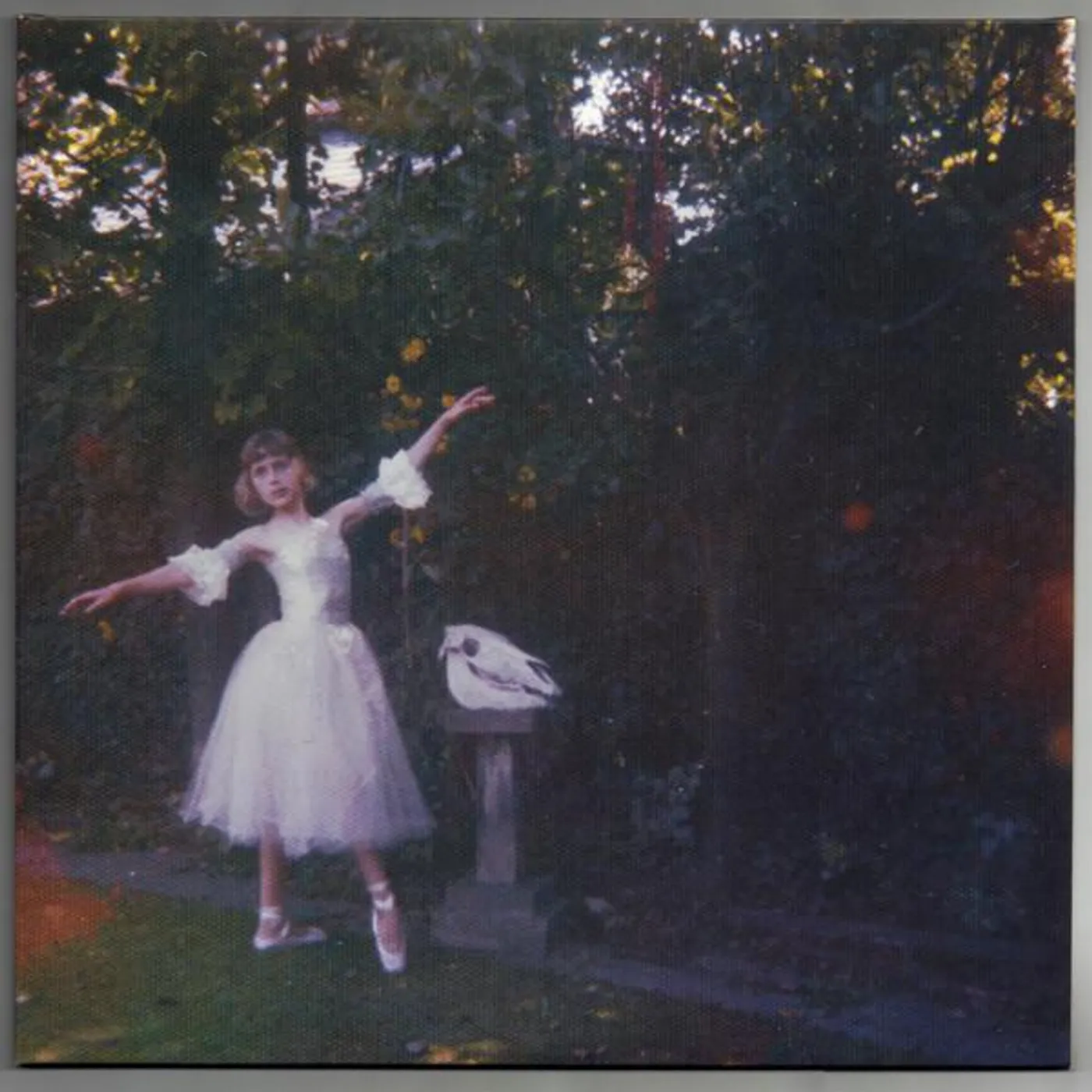 Wolf Alice VISIONS OF A LIFE Vinyl Record