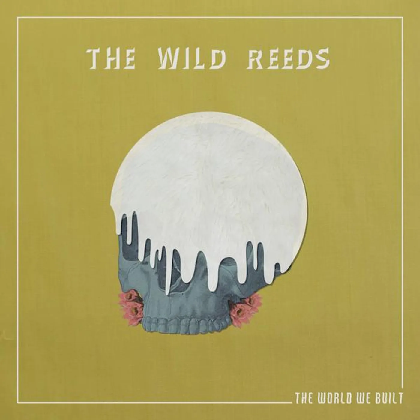 The Wild Reeds WORLD WE BUILT CD