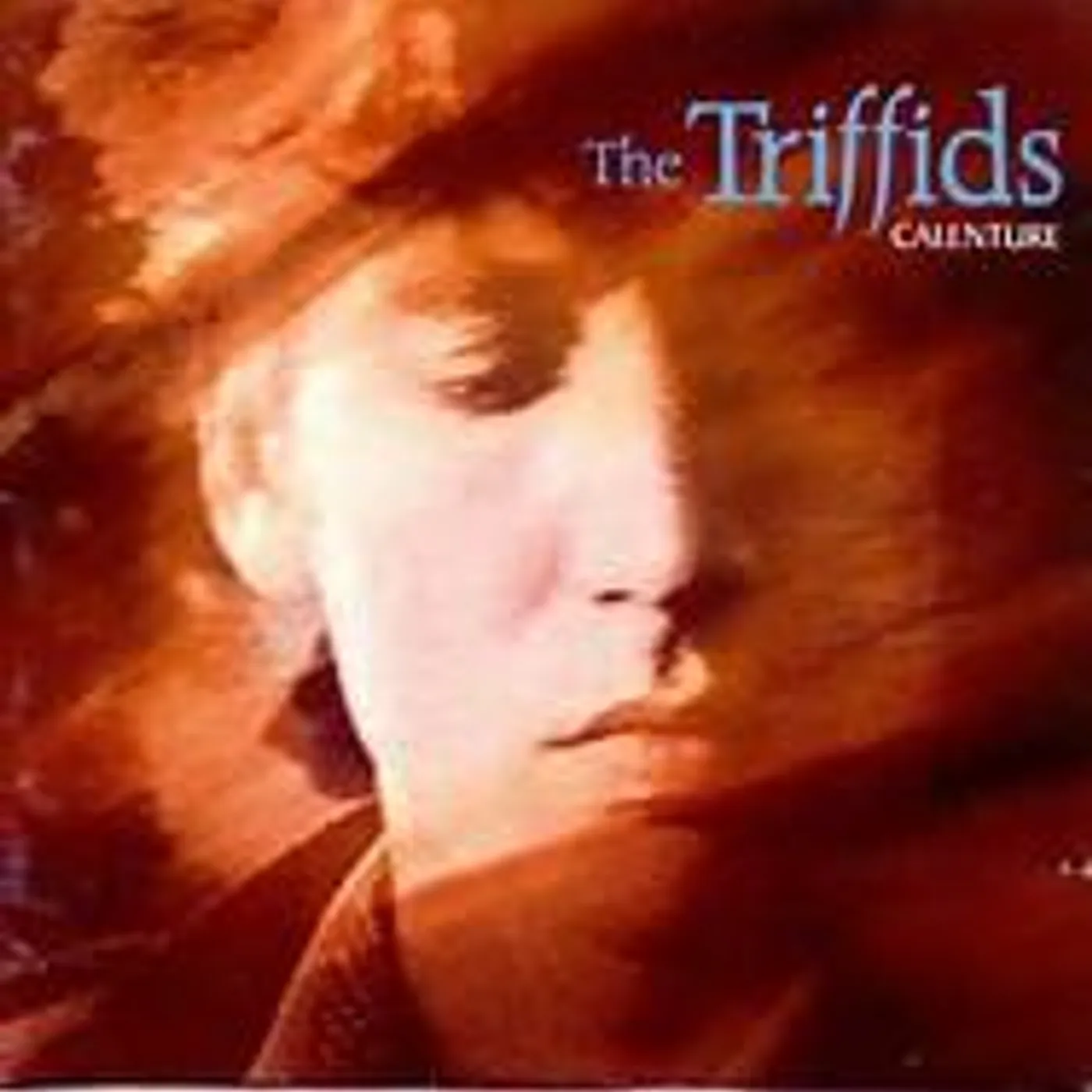 The Triffids CALENTURE (REMASTERED) CD