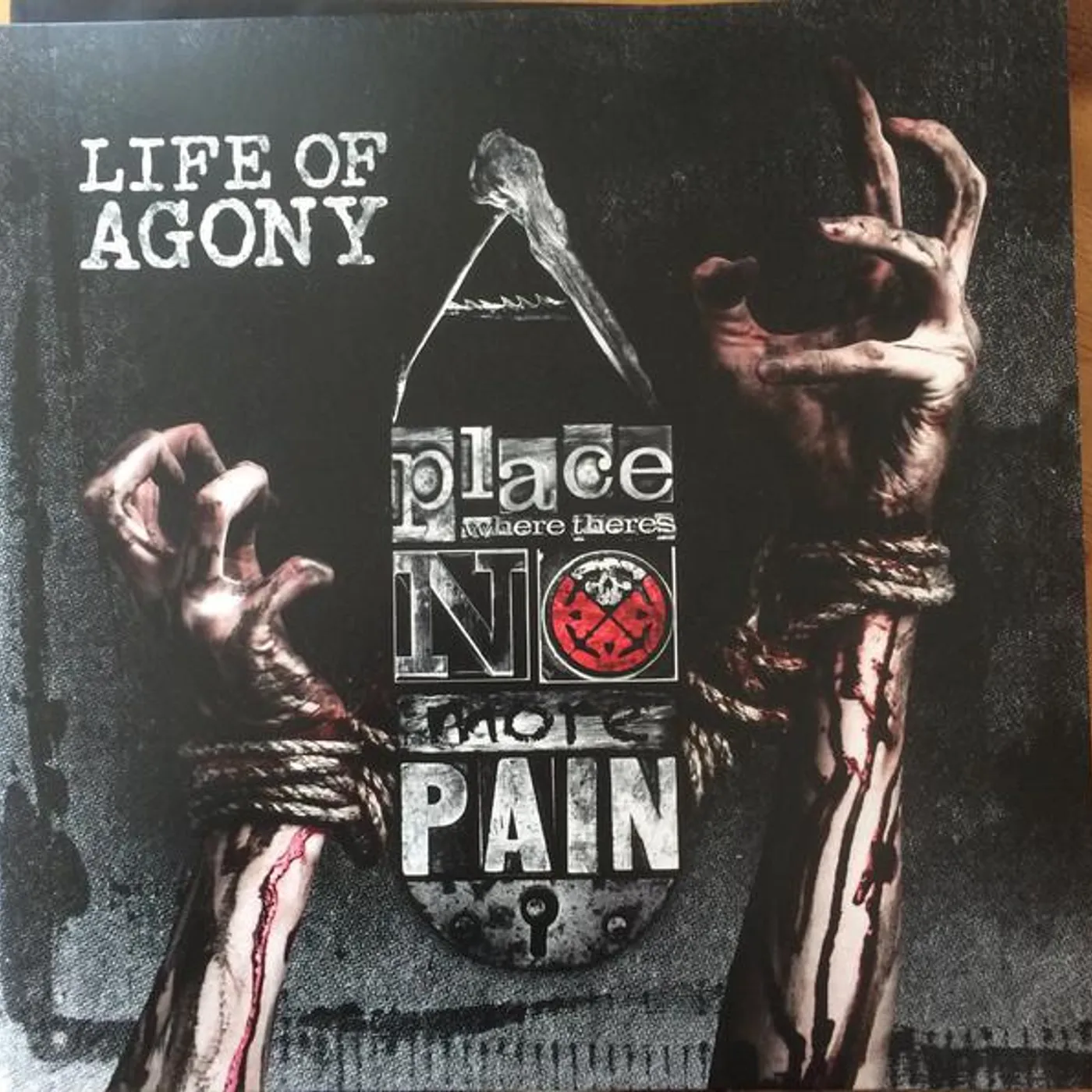 Life Of Agony PLACE WHERE THERE'S NO MORE PAIN Vinyl Record