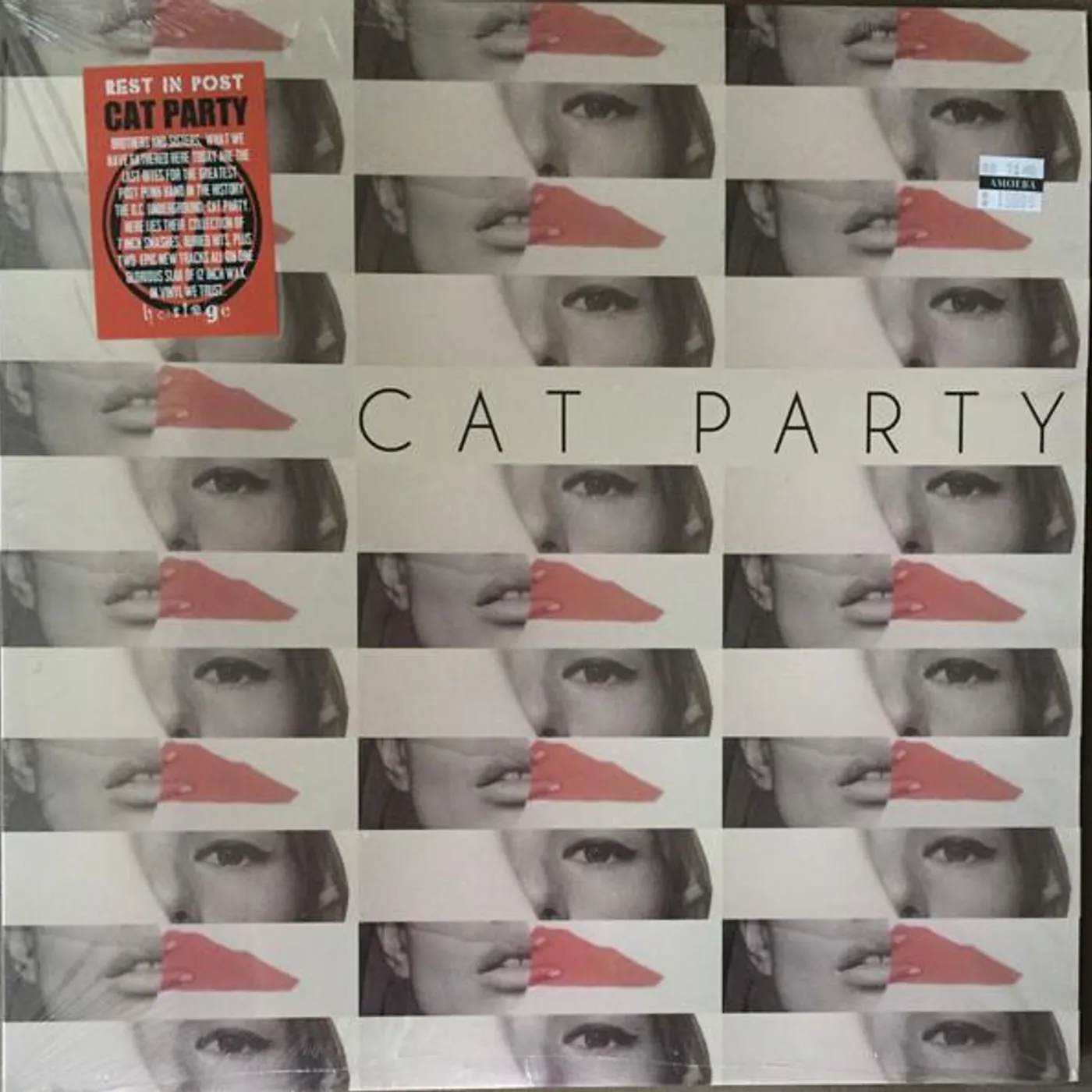Cat Party Vinyl Record