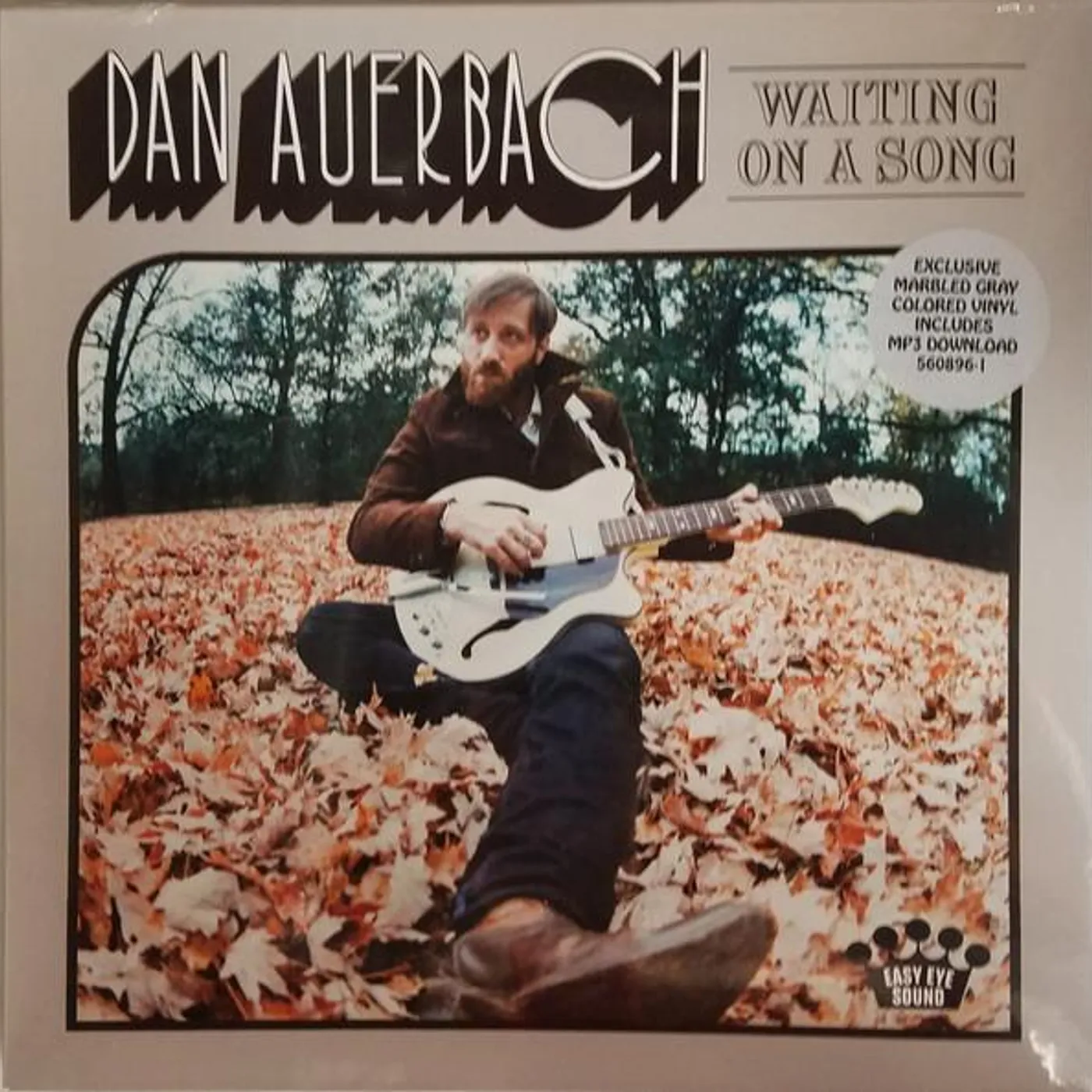 Dan Auerbach Waiting On A Song Vinyl Record