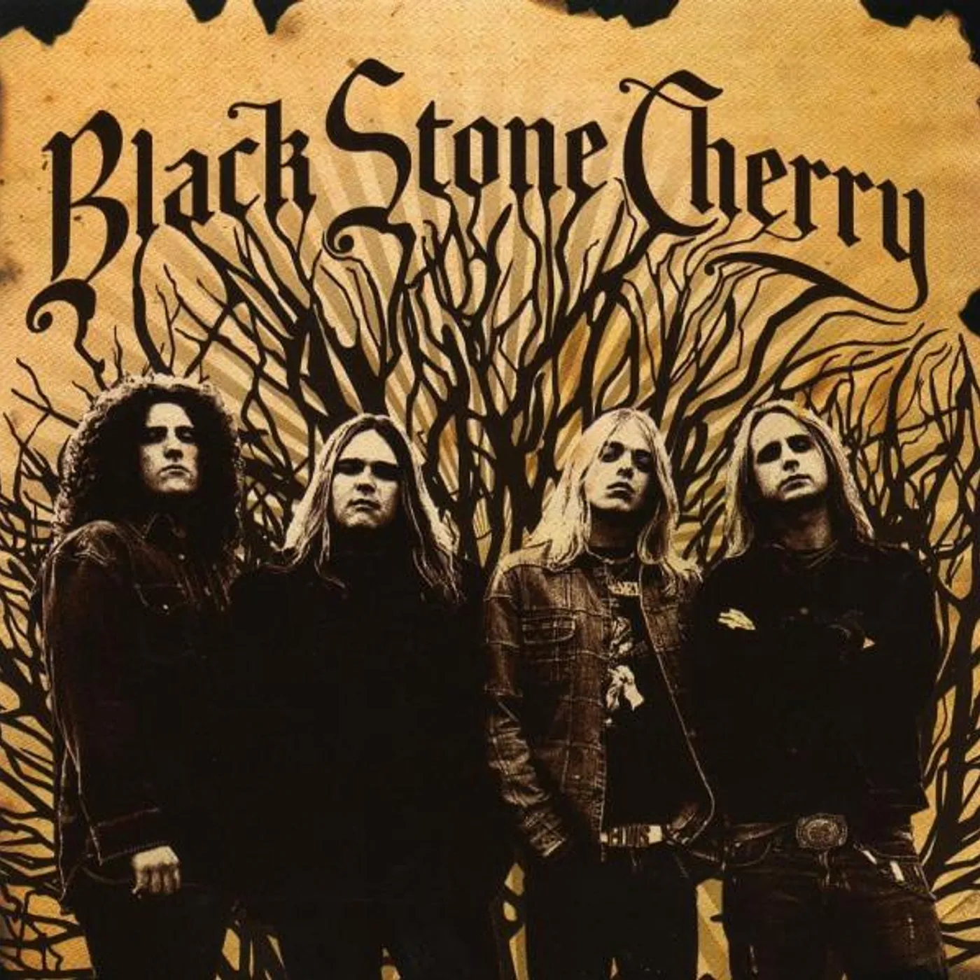 BLACK STONE CHERRY CD