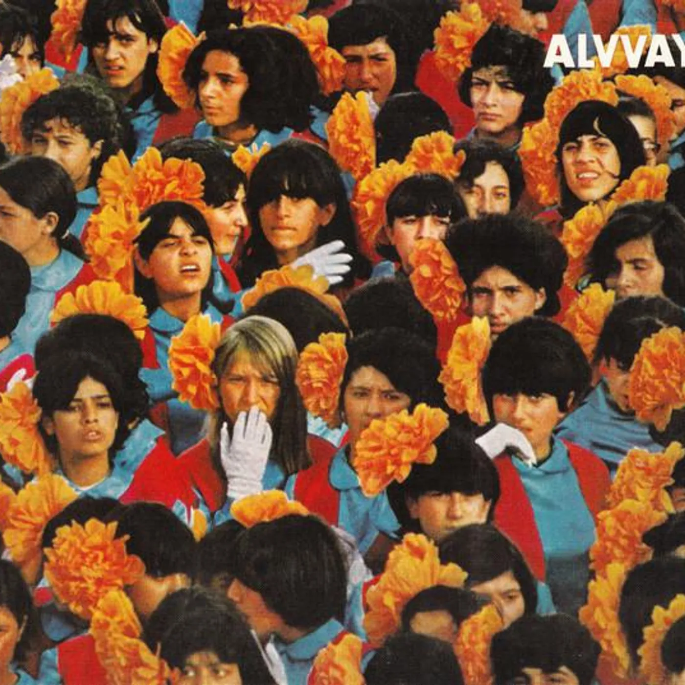 ALVVAYS CD