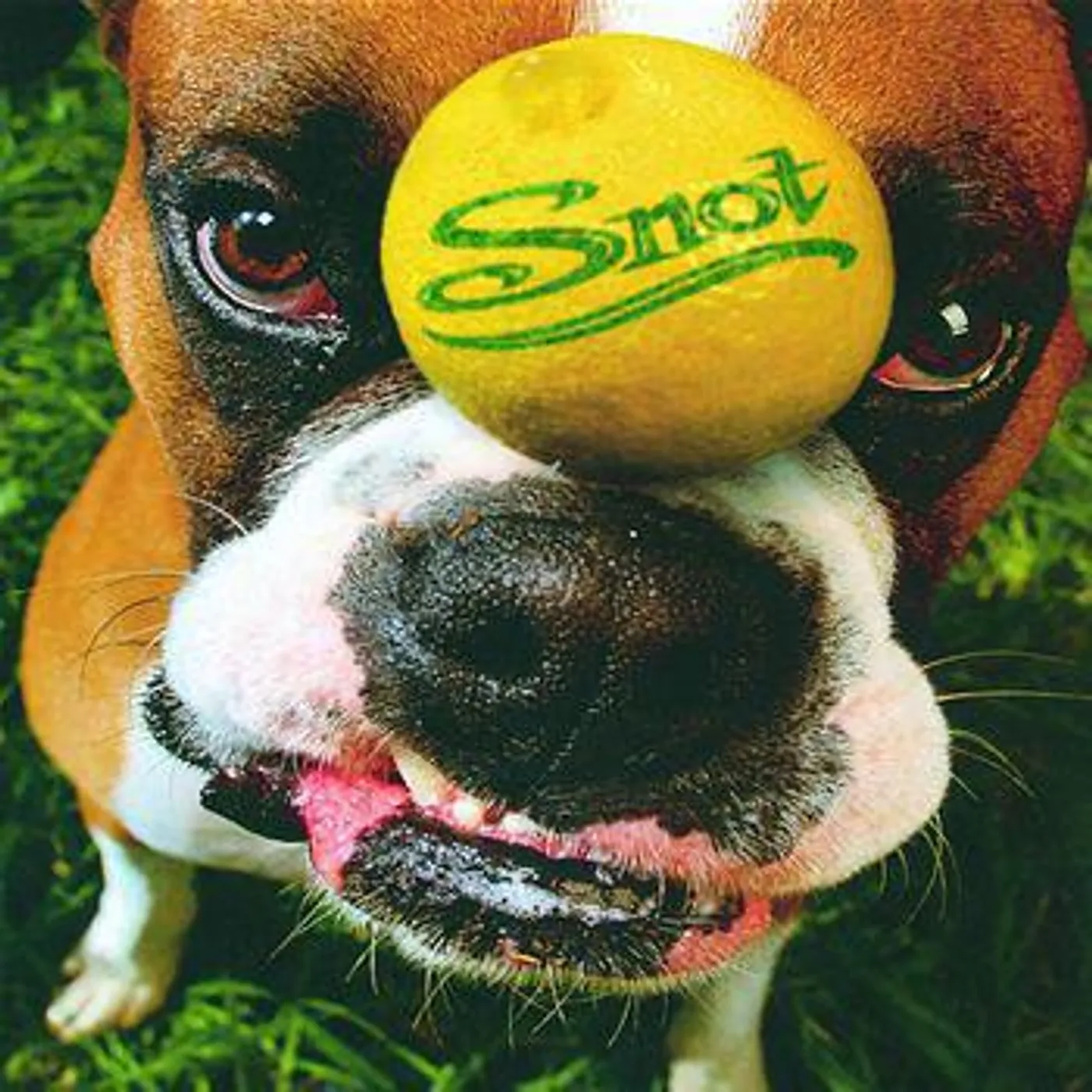 Snot GET SOME  (24BIT REMASTER) CD