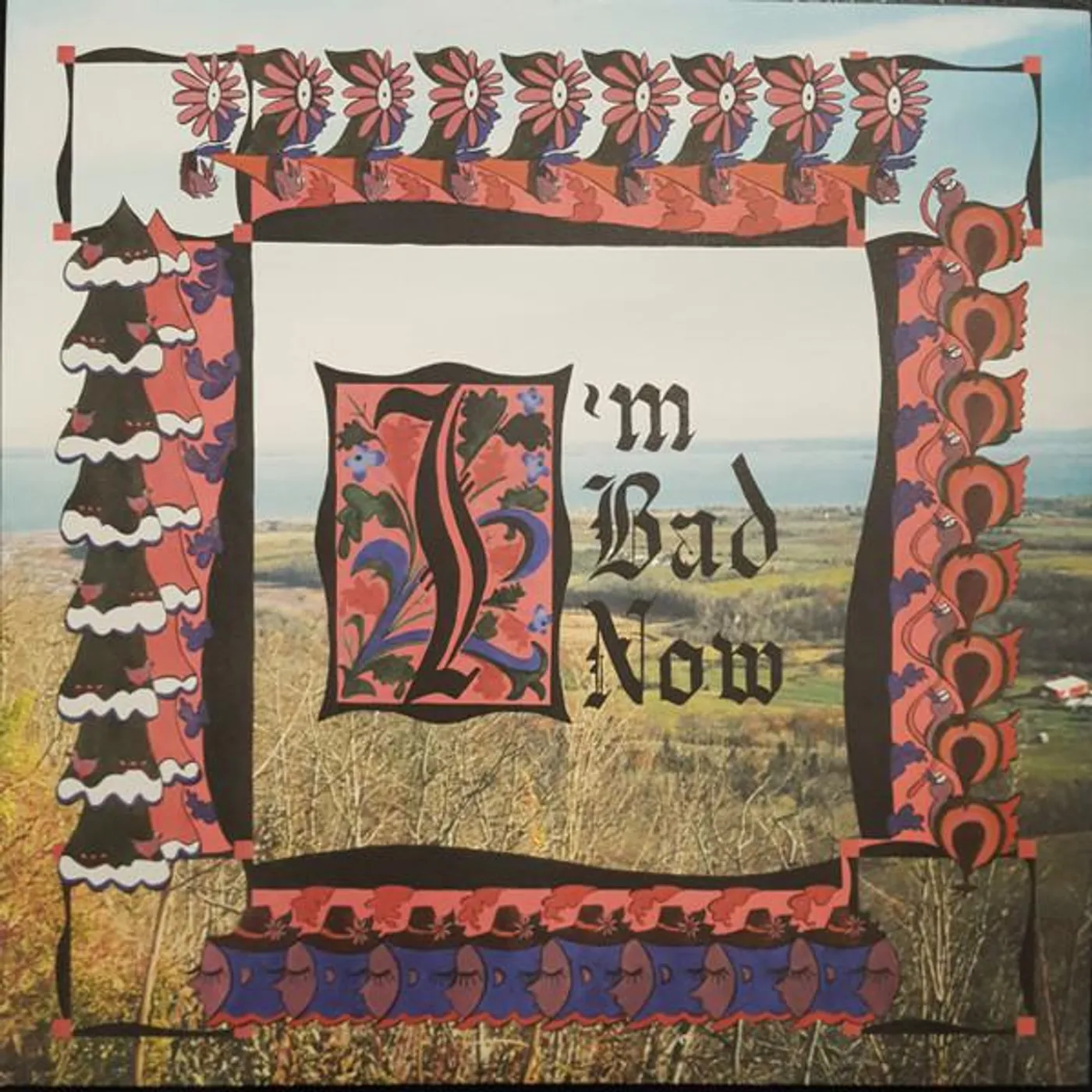 Nap Eyes I'M BAD NOW Vinyl Record