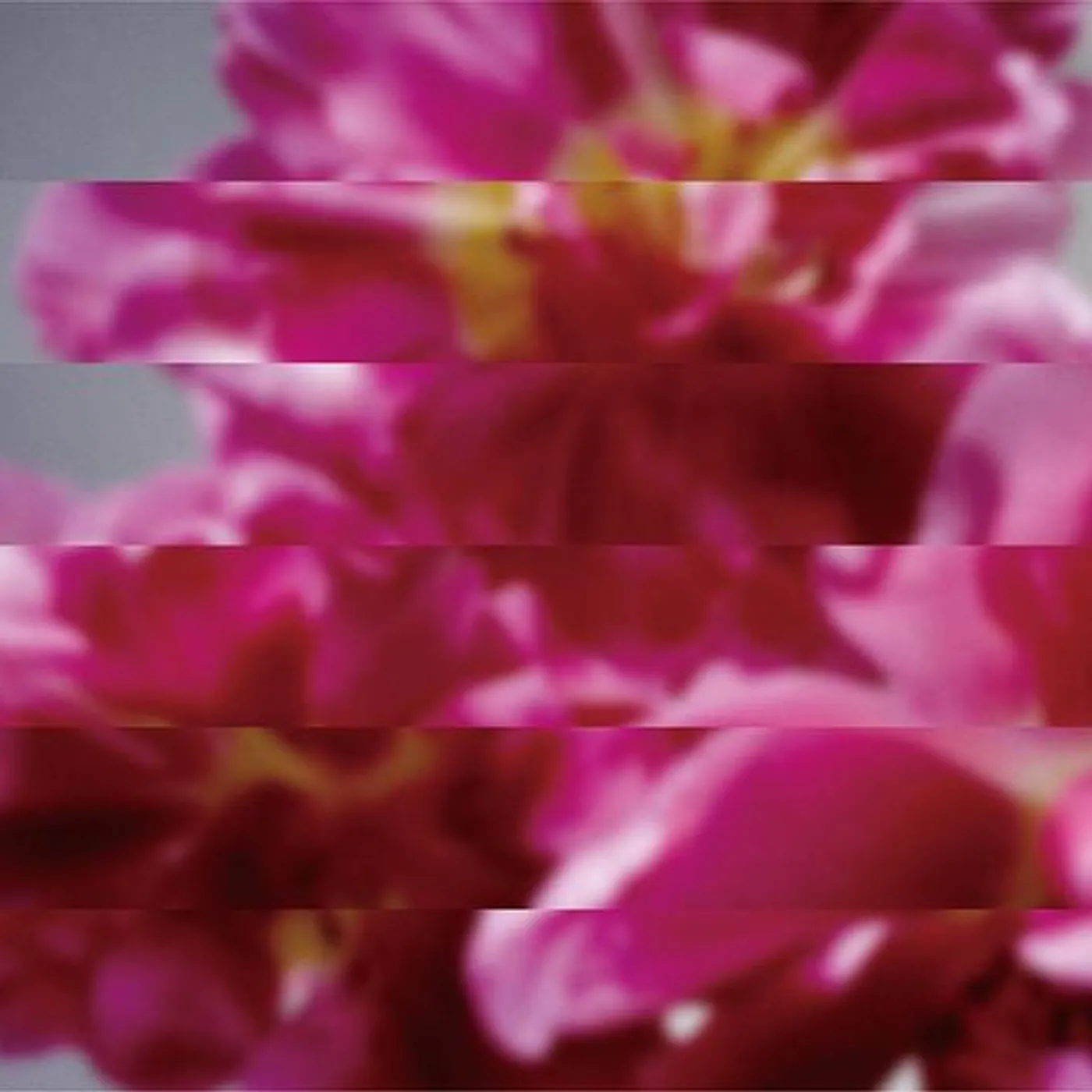 Mondo Grosso NANDO DEMO ATARASHIKU UMARERU CD