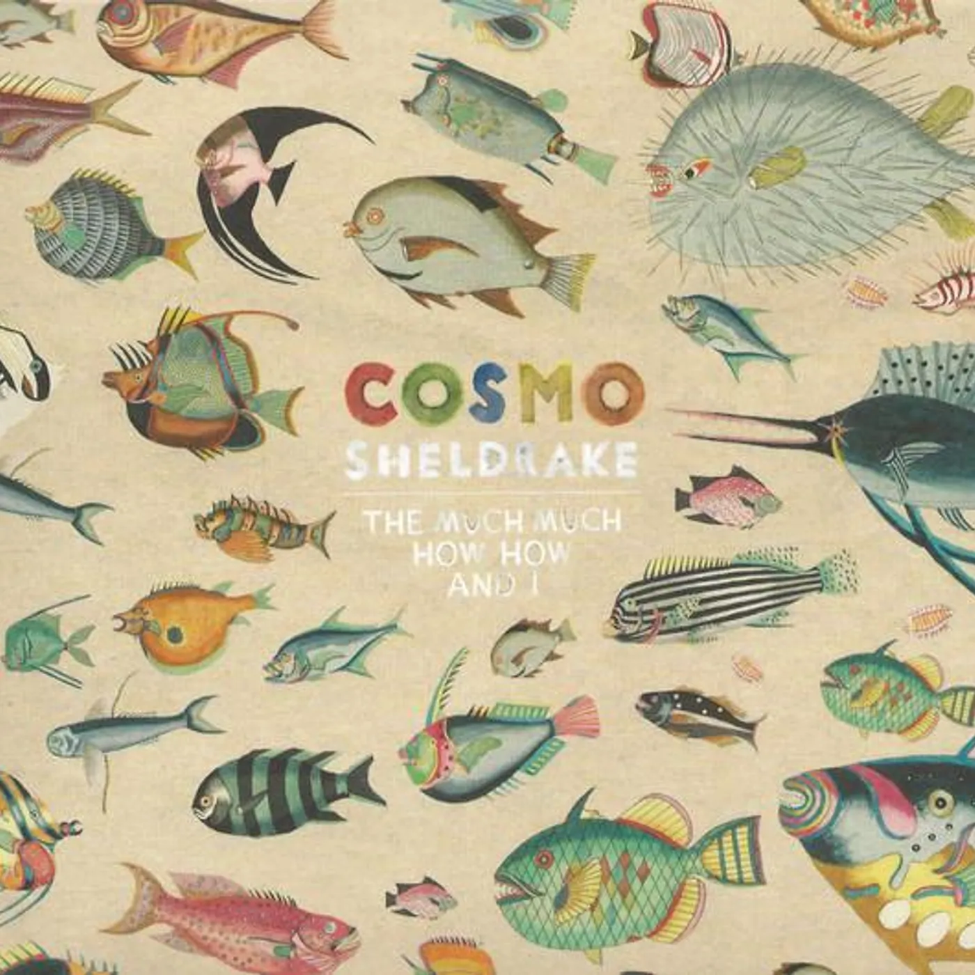 Cosmo Sheldrake MUCH MUCH HOW HOW AND I CD