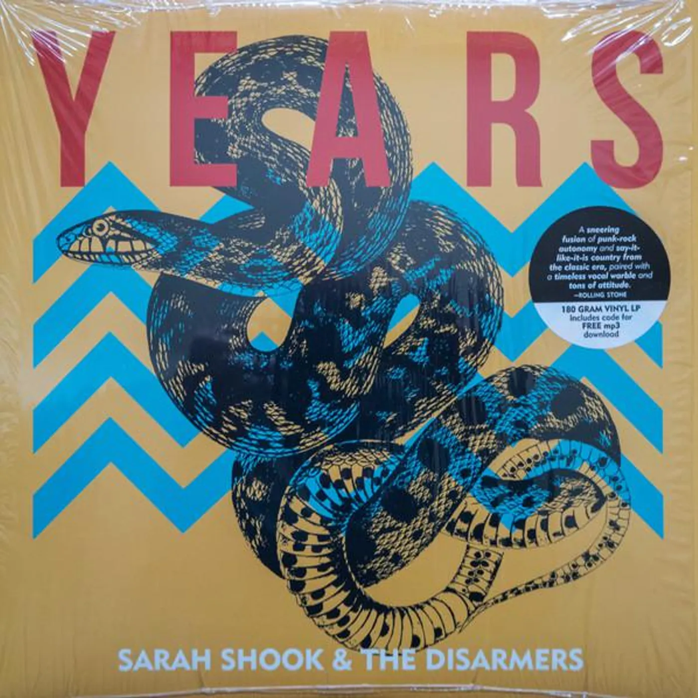 Sarah Shook & the Disarmers Years Vinyl Record