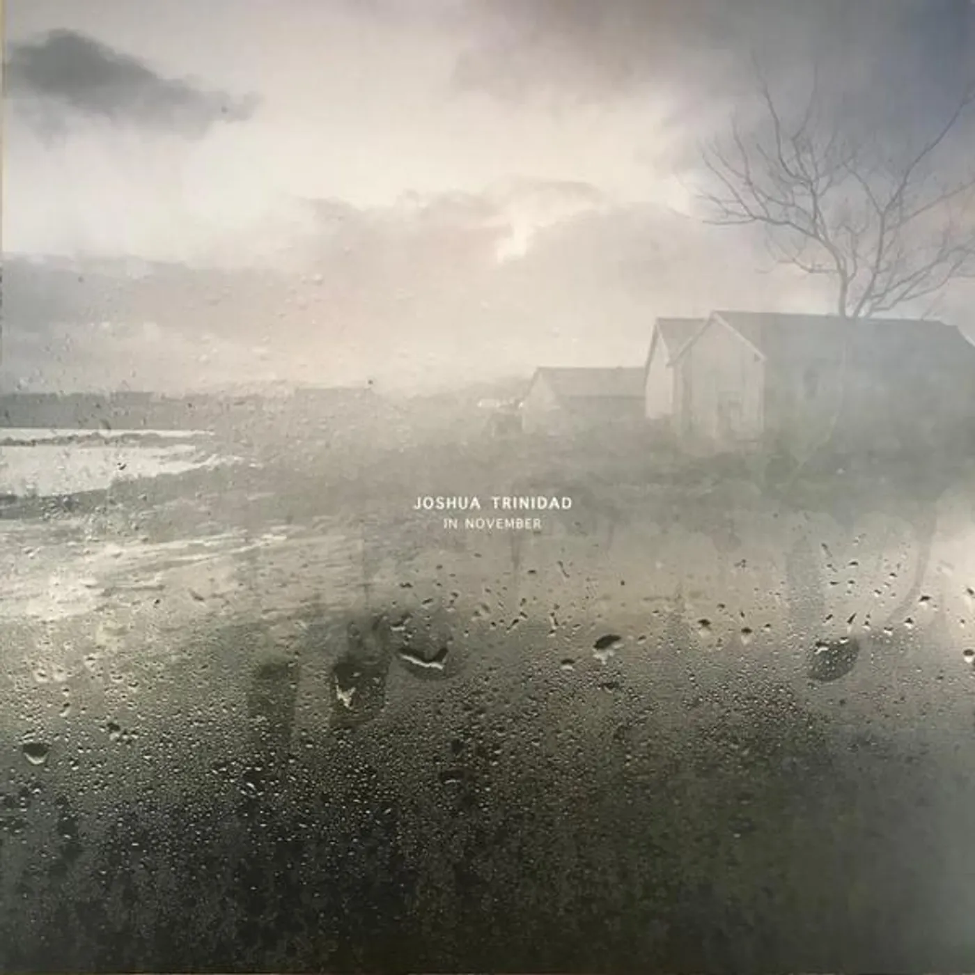 Joshua Trinidad IN NOVEMBER Vinyl Record