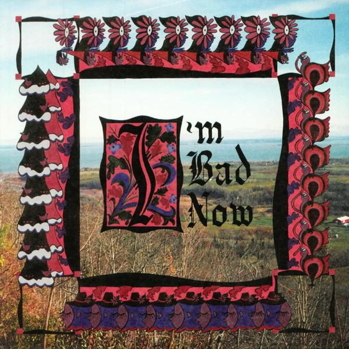 Nap Eyes I'M BAD NOW Vinyl Record